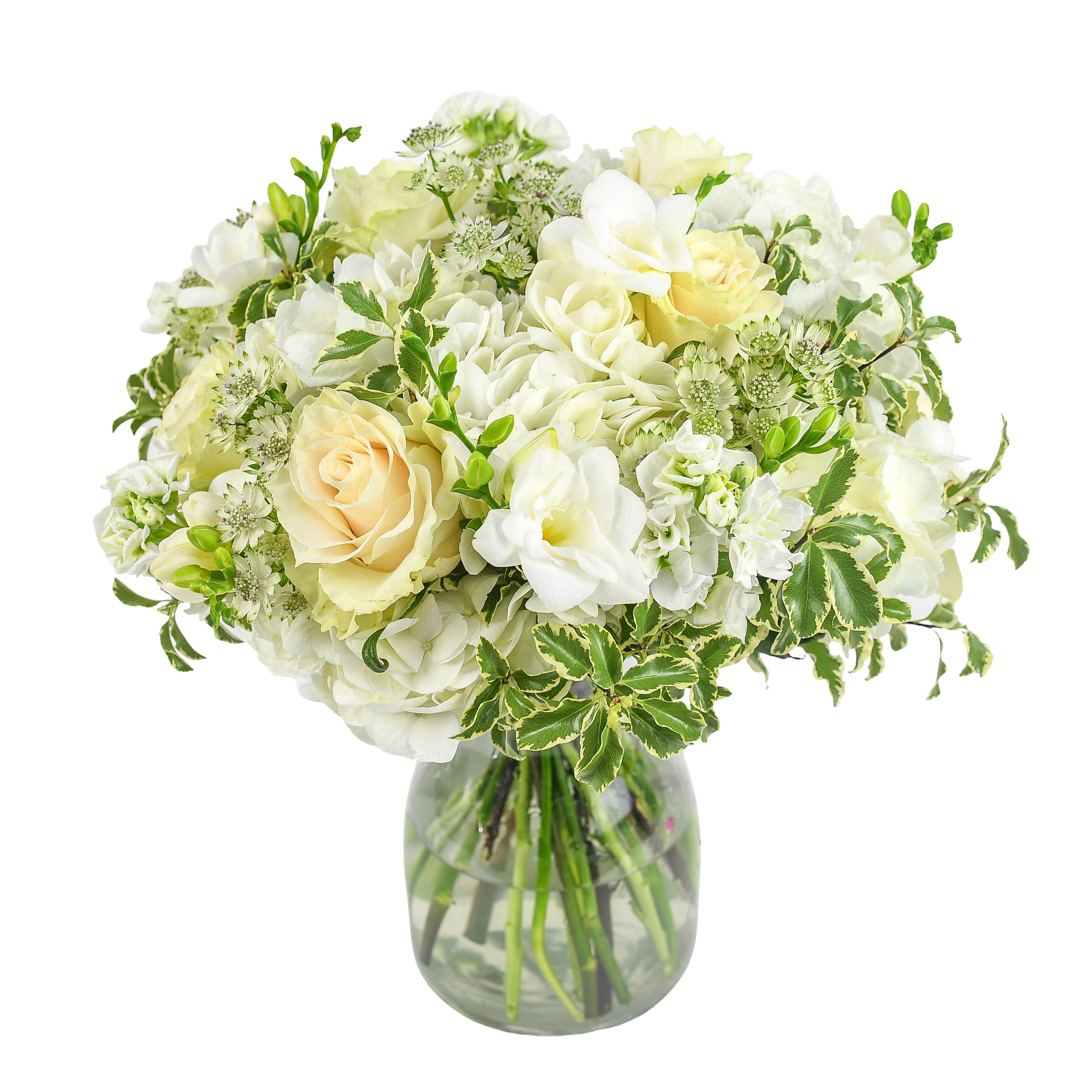 Always & Forever Flowers & Champagne Flowers & Plants Co