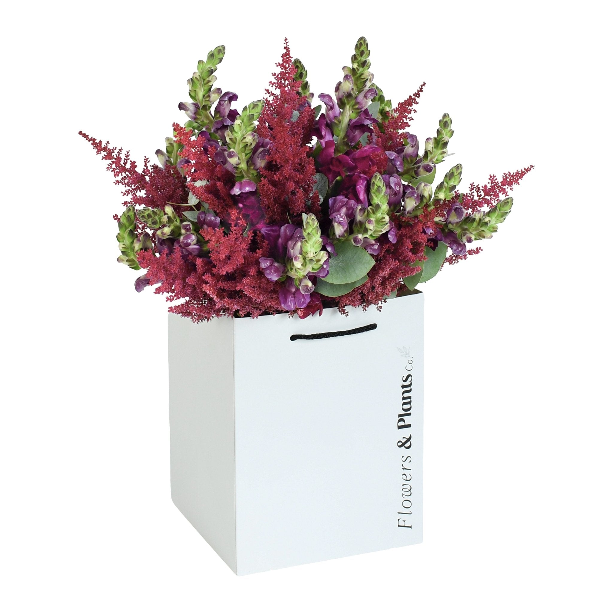 Flare - Flowers & Plants Co