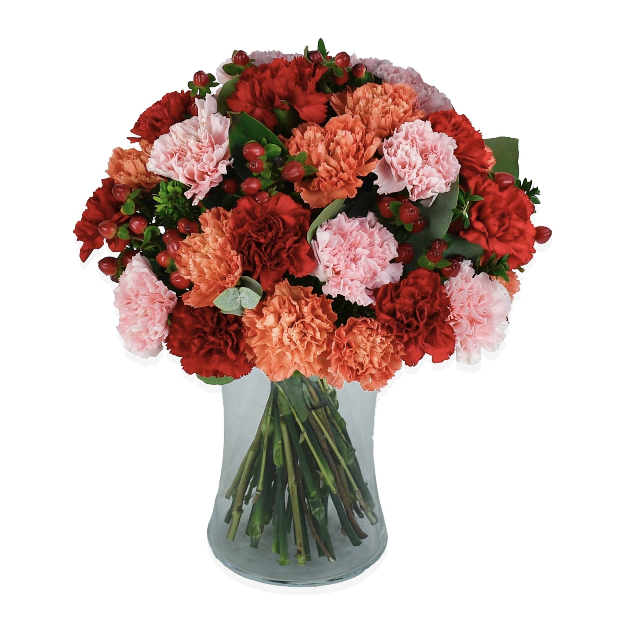 Flower of Zeus - Flowers & Plants Co