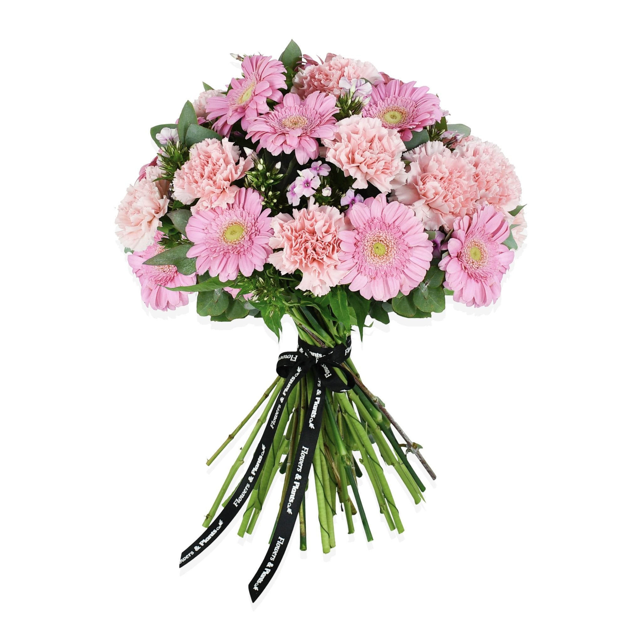 Go Pink - Flowers & Plants Co