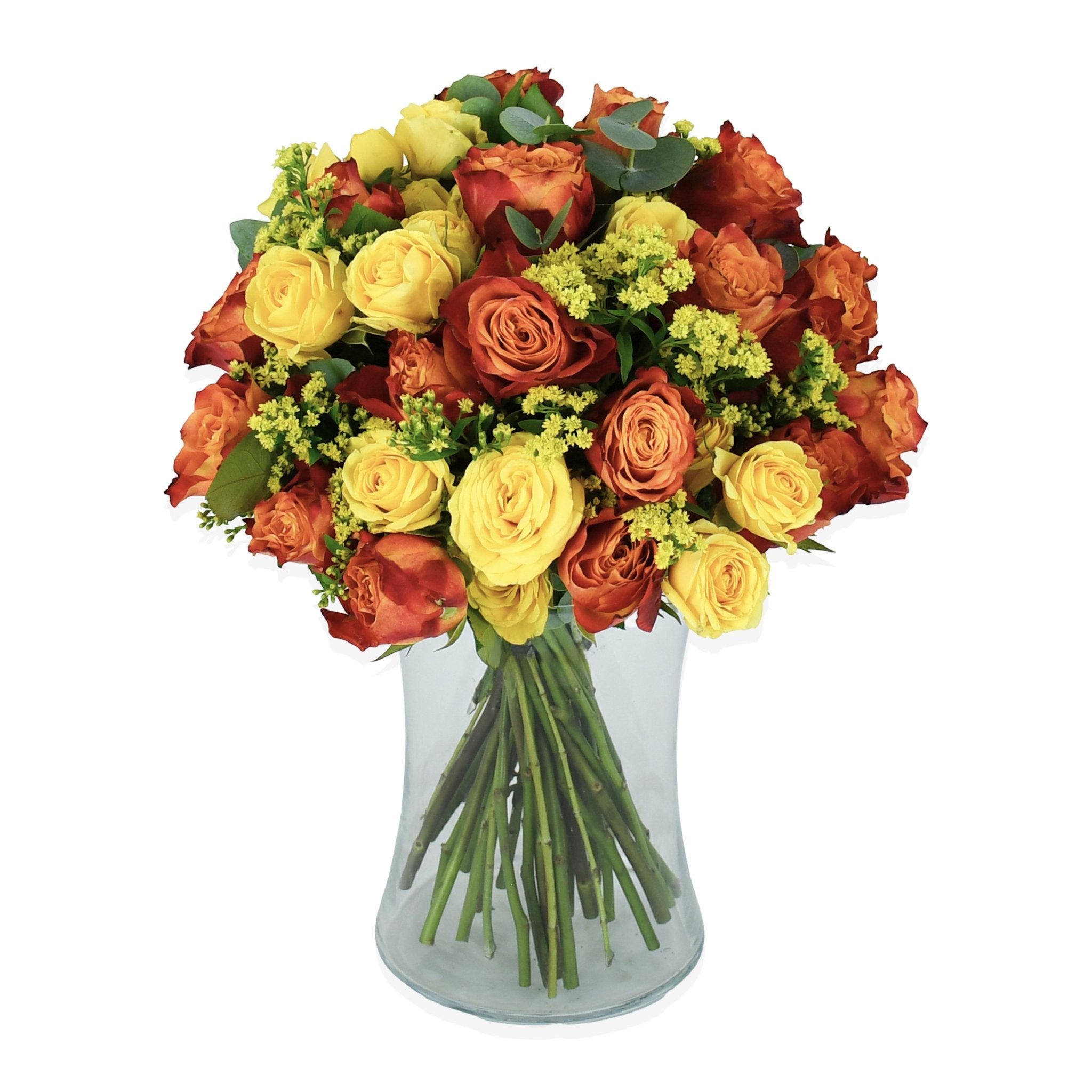 Mai Tai - Flowers & Plants Co