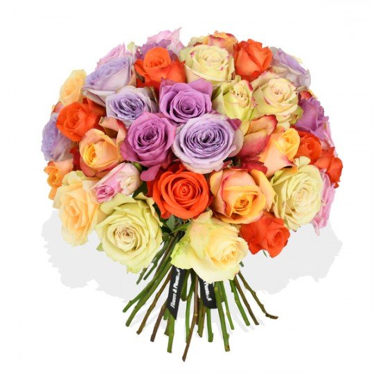 Mixed Roses - Flowers & Plants Co