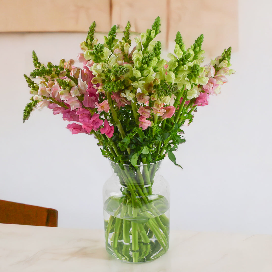 Subscription Box  Flowers & Plants Co