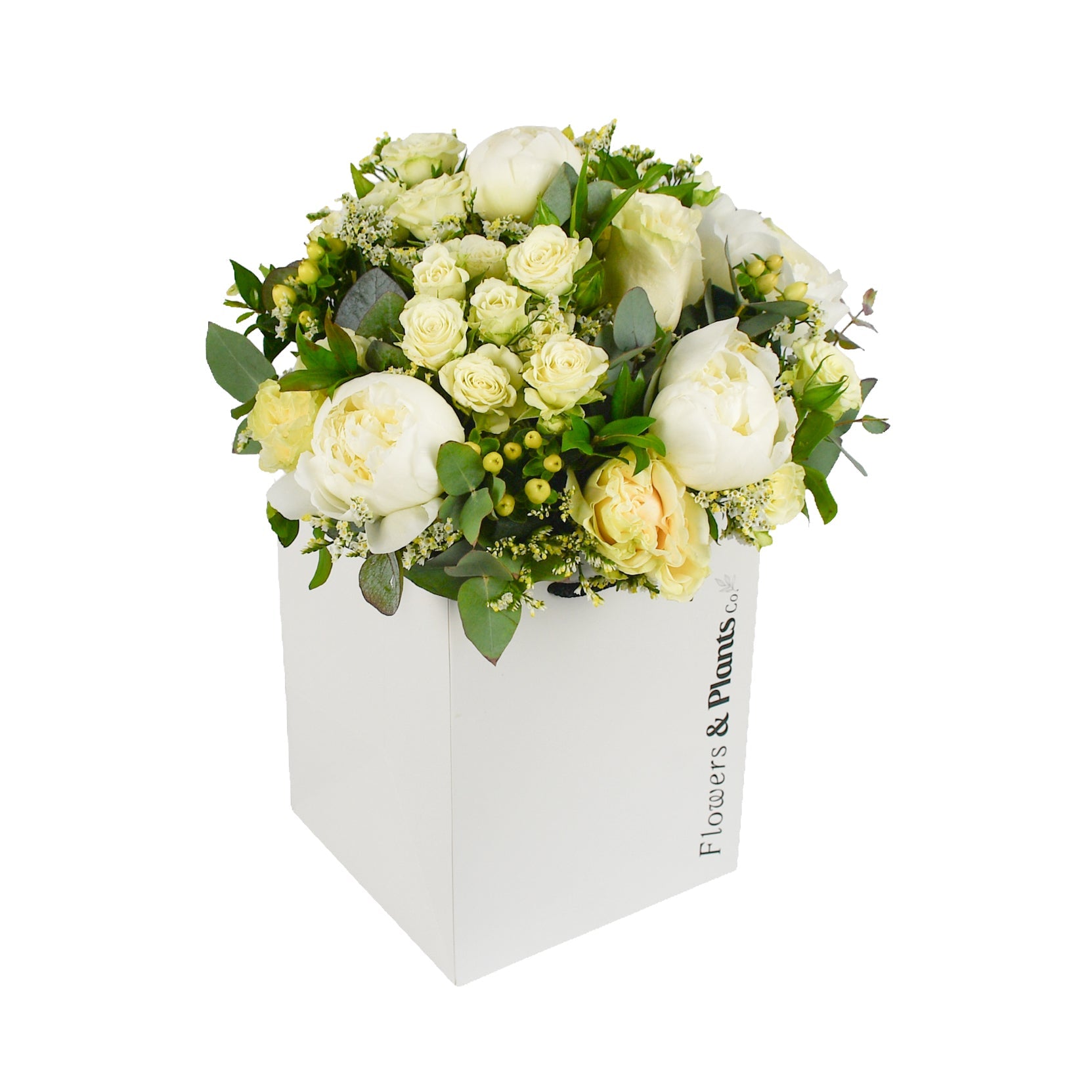 Perfect Peony - Flowers & Plants Co