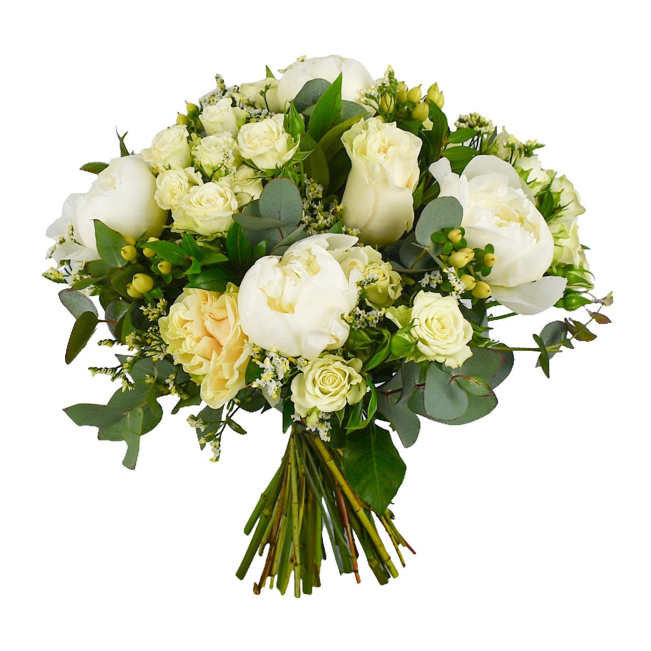 Perfect Peony - Flowers & Plants Co