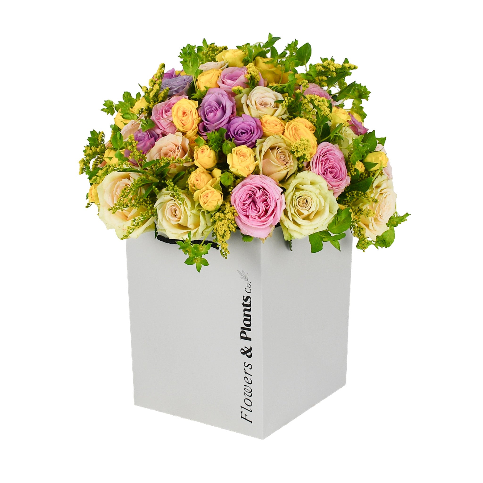 Rose Garden - Flowers & Plants Co