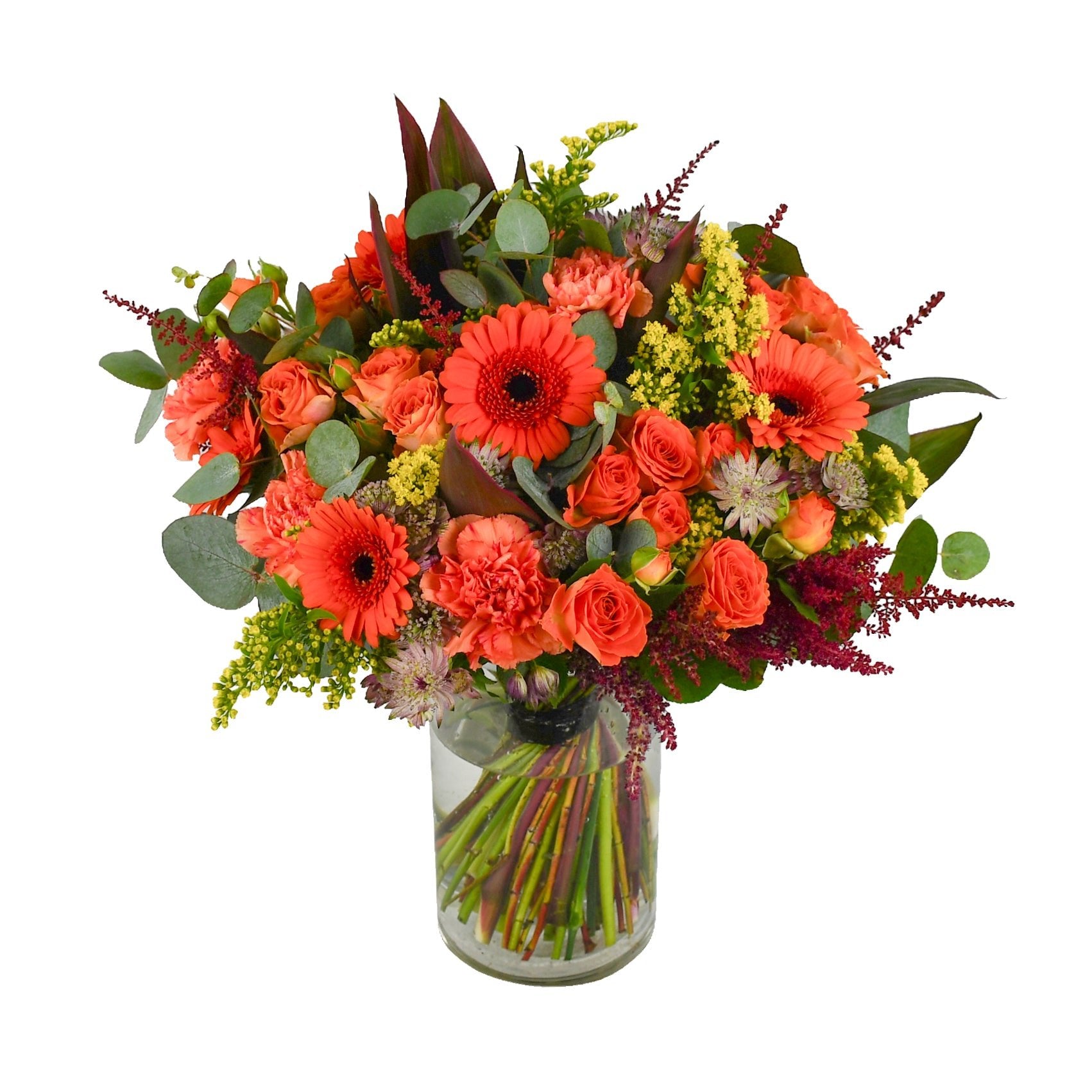 Rosy Glow - Flowers & Plants Co