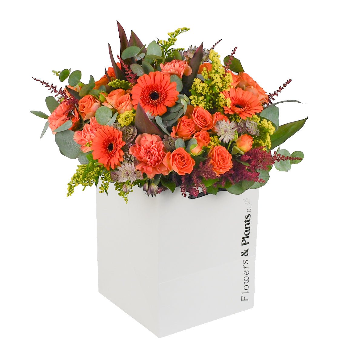 Rosy Glow - Flowers & Plants Co