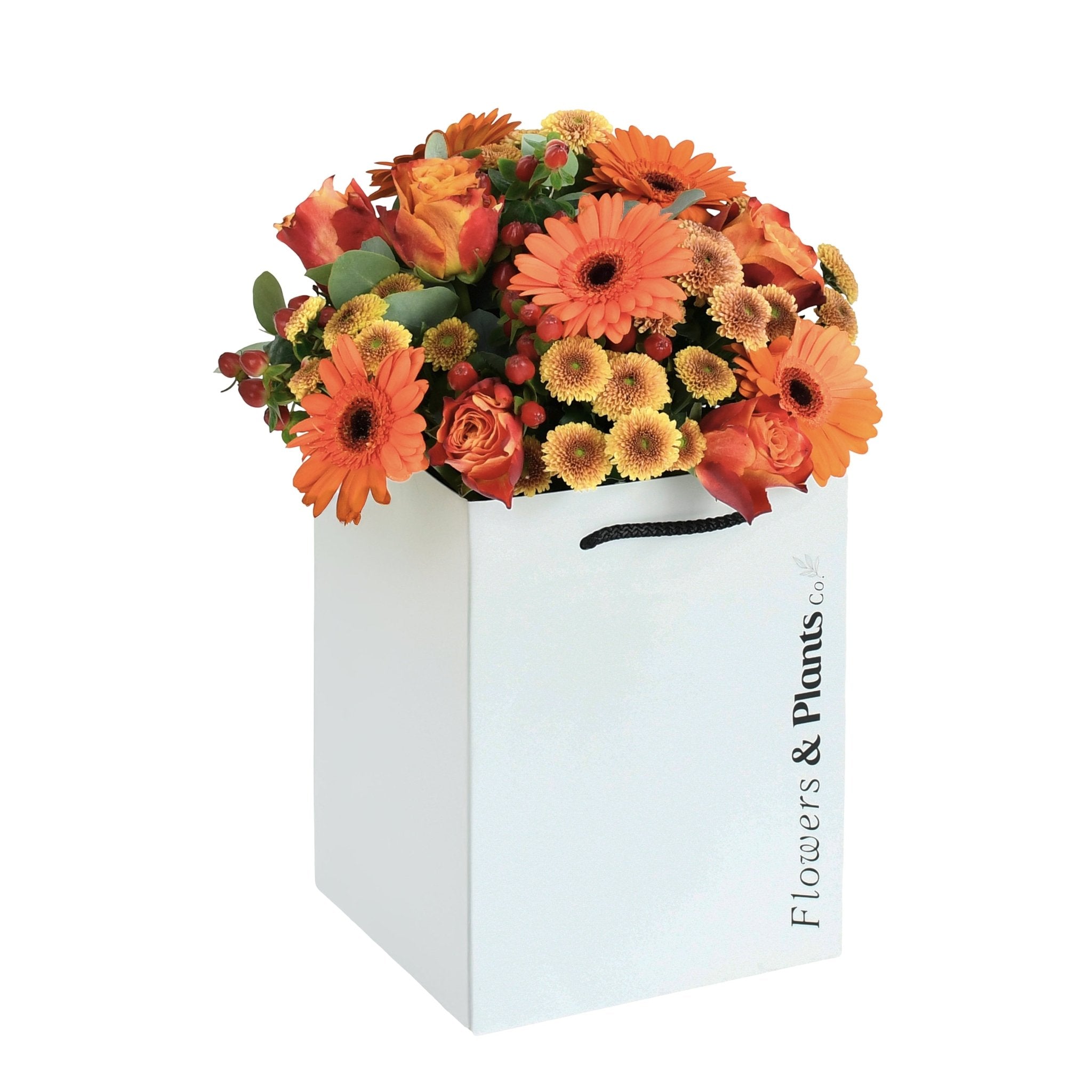 Saffron - Flowers & Plants Co