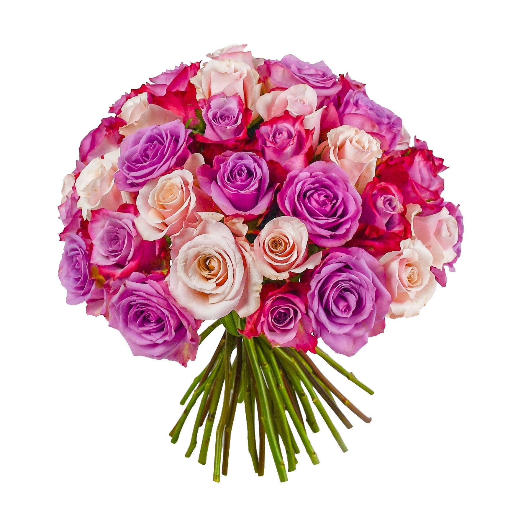 Strawberries & Cream - Flowers & Plants Co