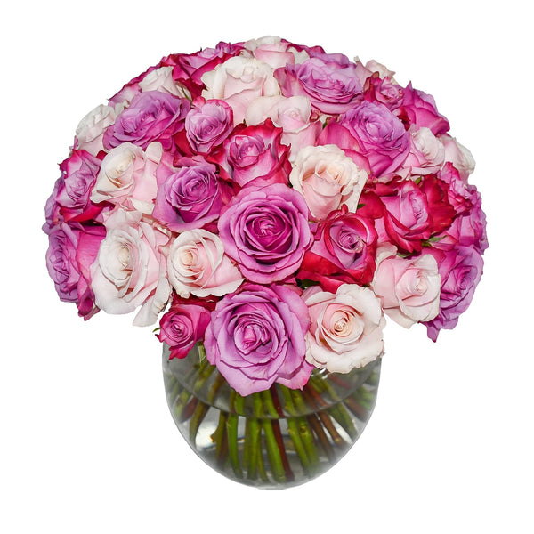 Strawberries & Cream - Flowers & Plants Co