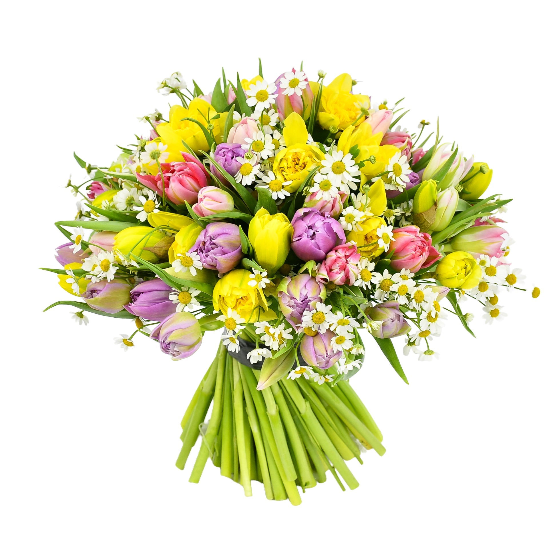 Sunny Spells - Flowers & Plants Co