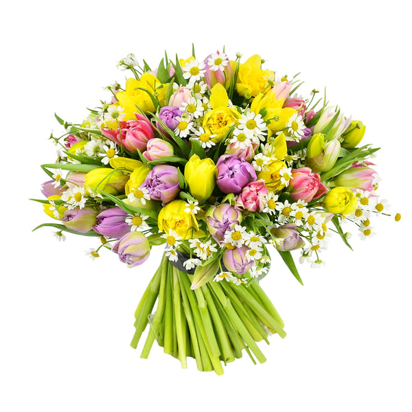 Sunny Spells - Flowers & Plants Co