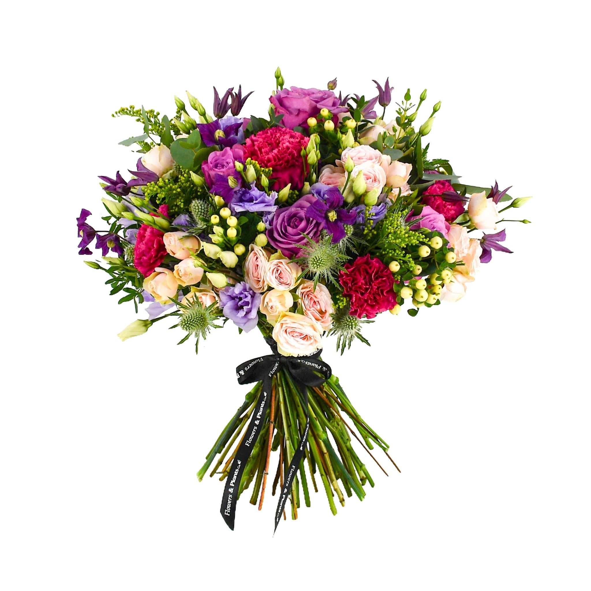 The Highlands - Flowers & Plants Co