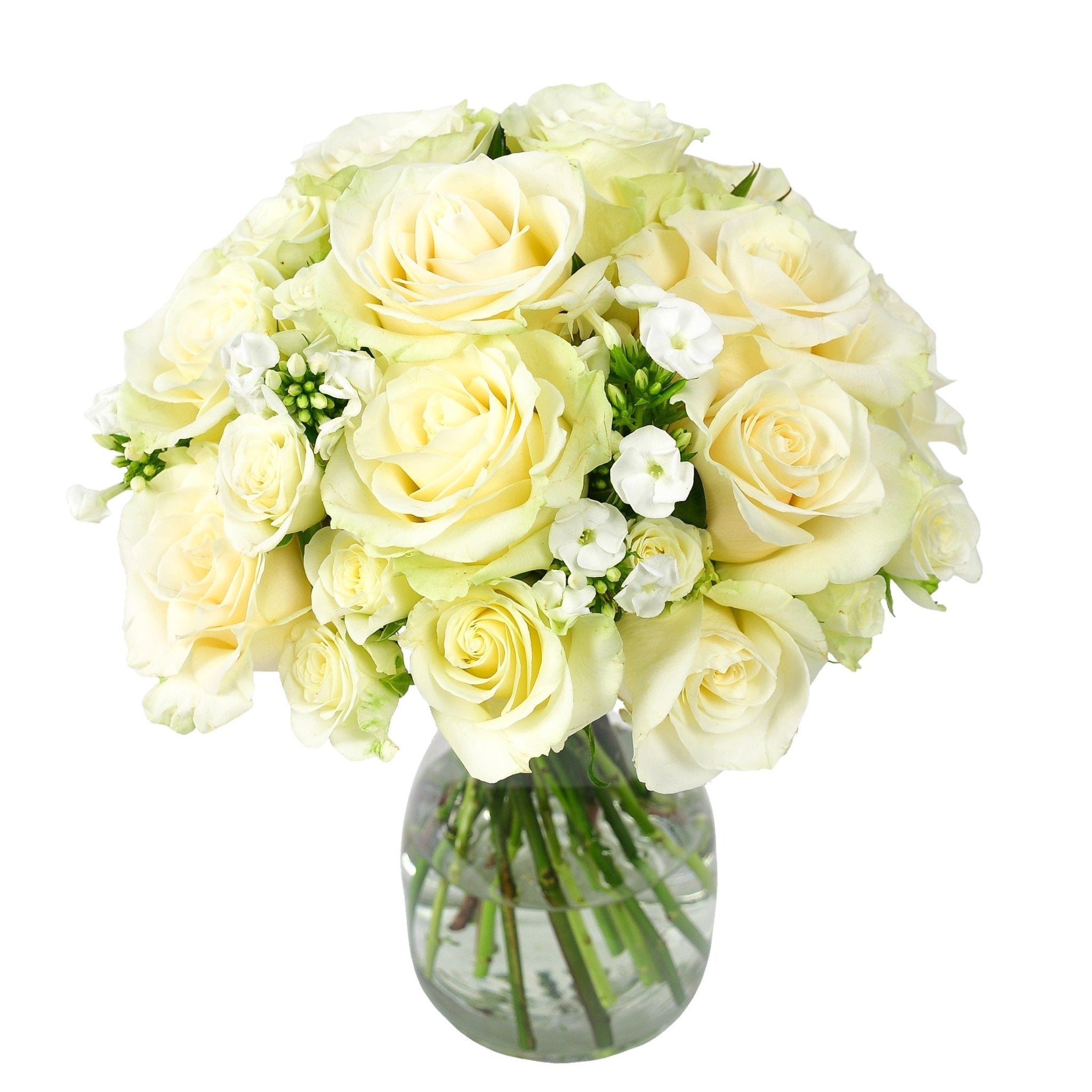 The Lady Jane - Flowers & Plants Co