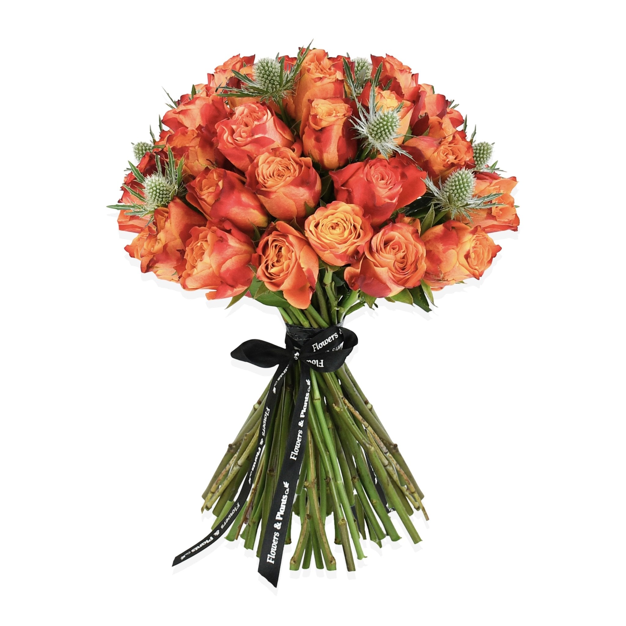 Thistle Love - Flowers & Plants Co