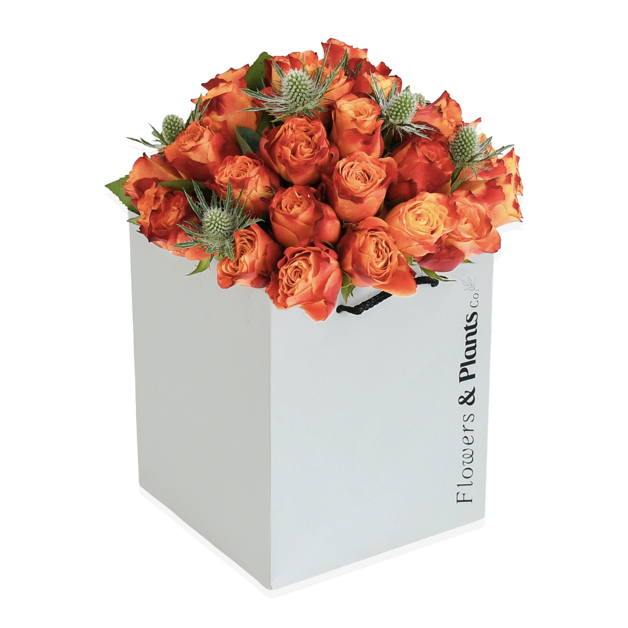Thistle Love - Flowers & Plants Co