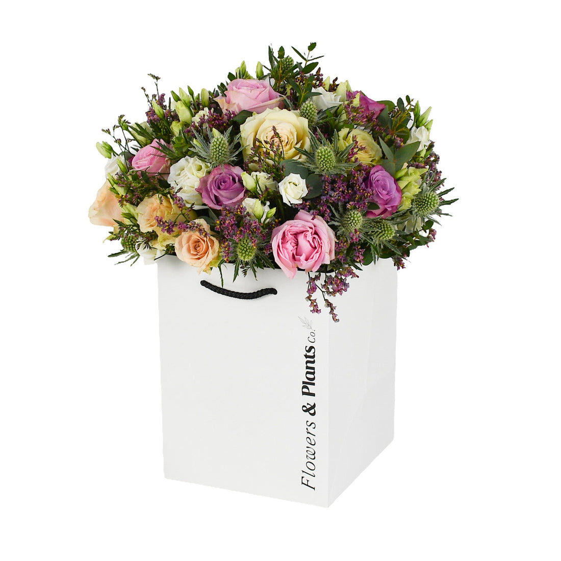 Wild Coast - Flowers & Plants Co