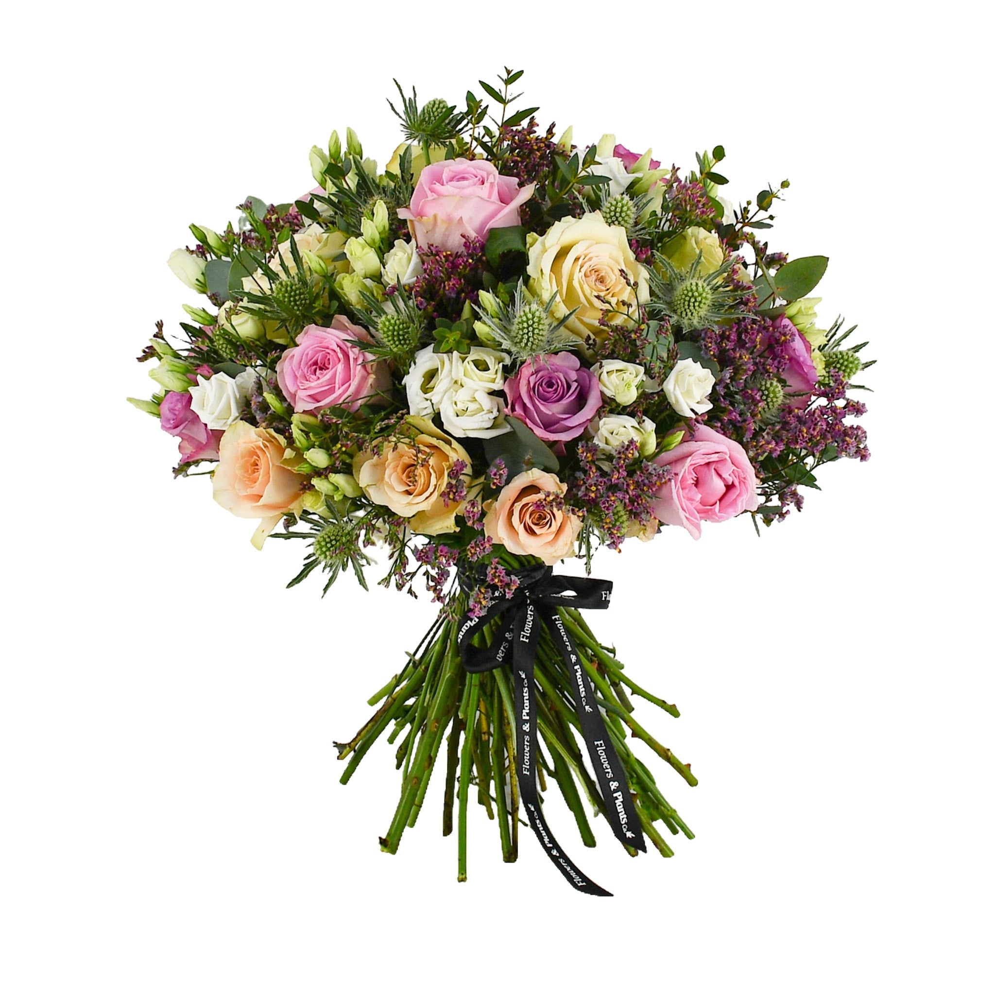 Wild Coast - Flowers & Plants Co