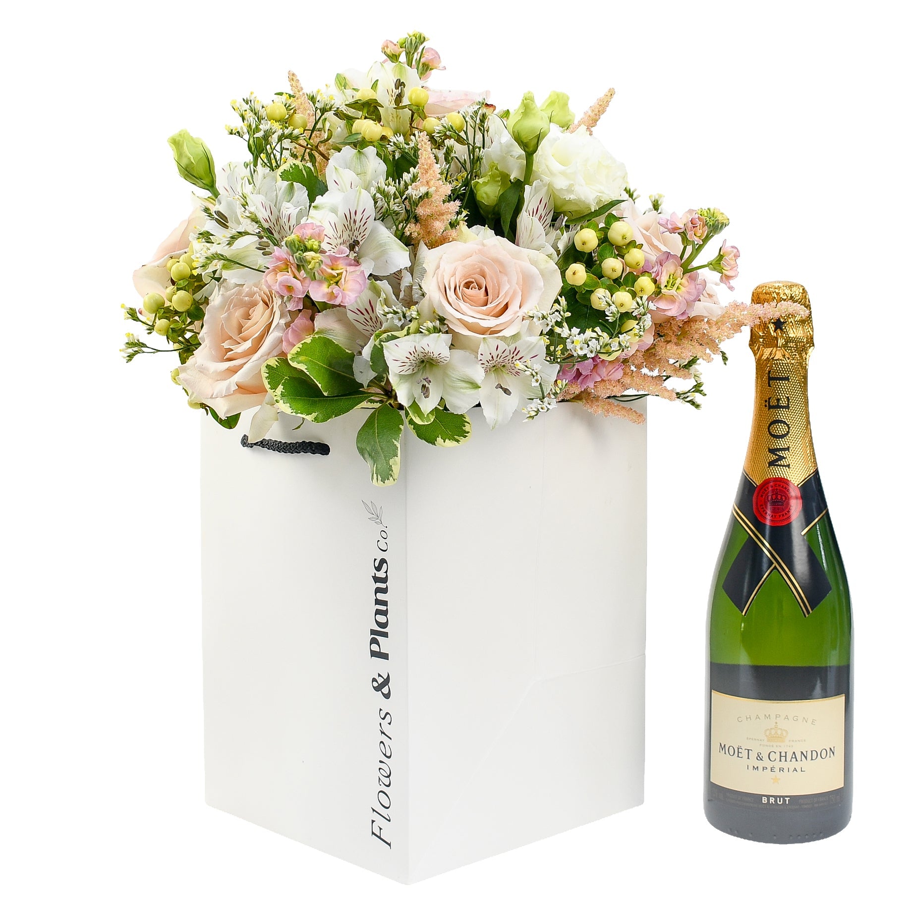 Wild & Wonderful - Flowers & Plants Co