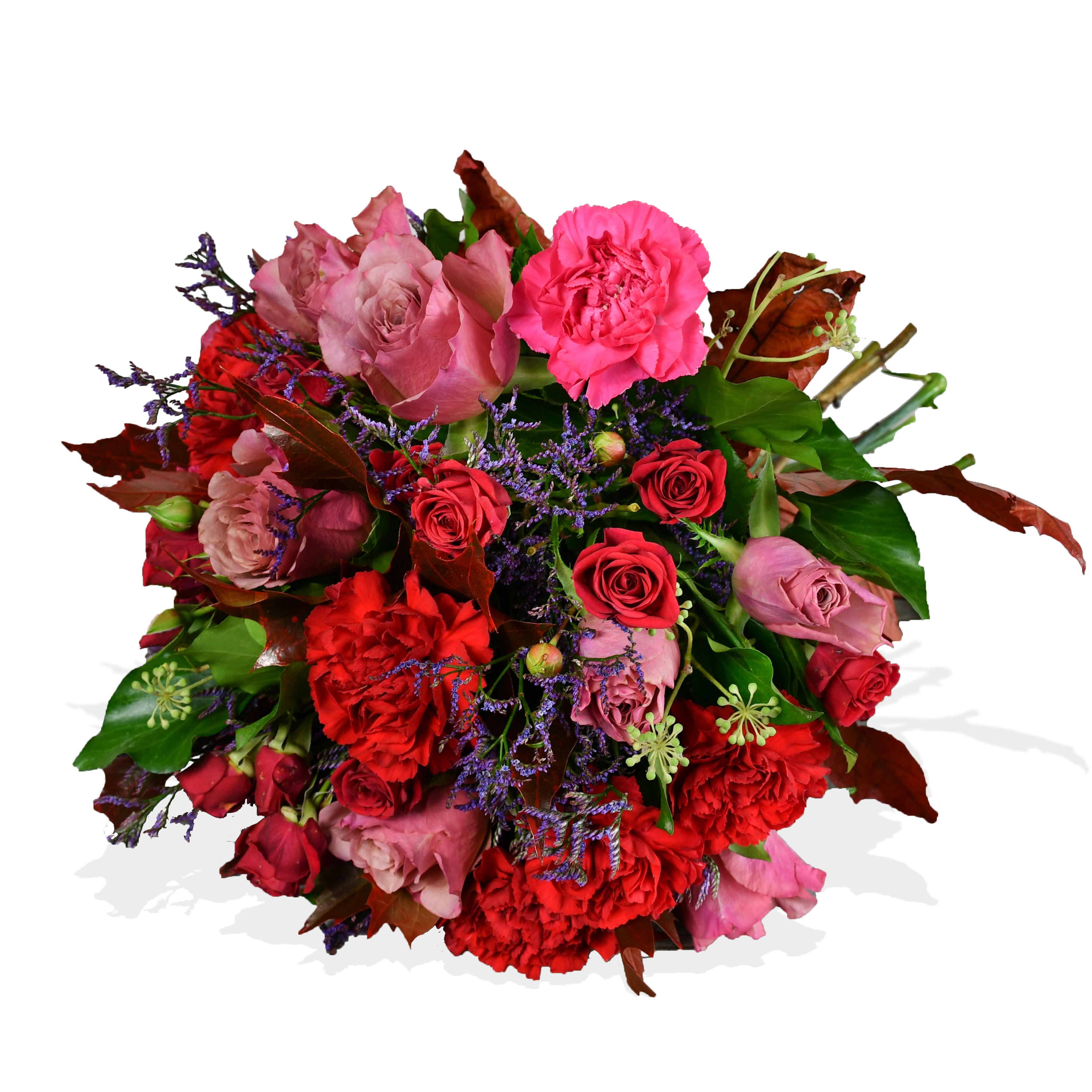 Carnation and Roses Roses Flowers & Plants Co