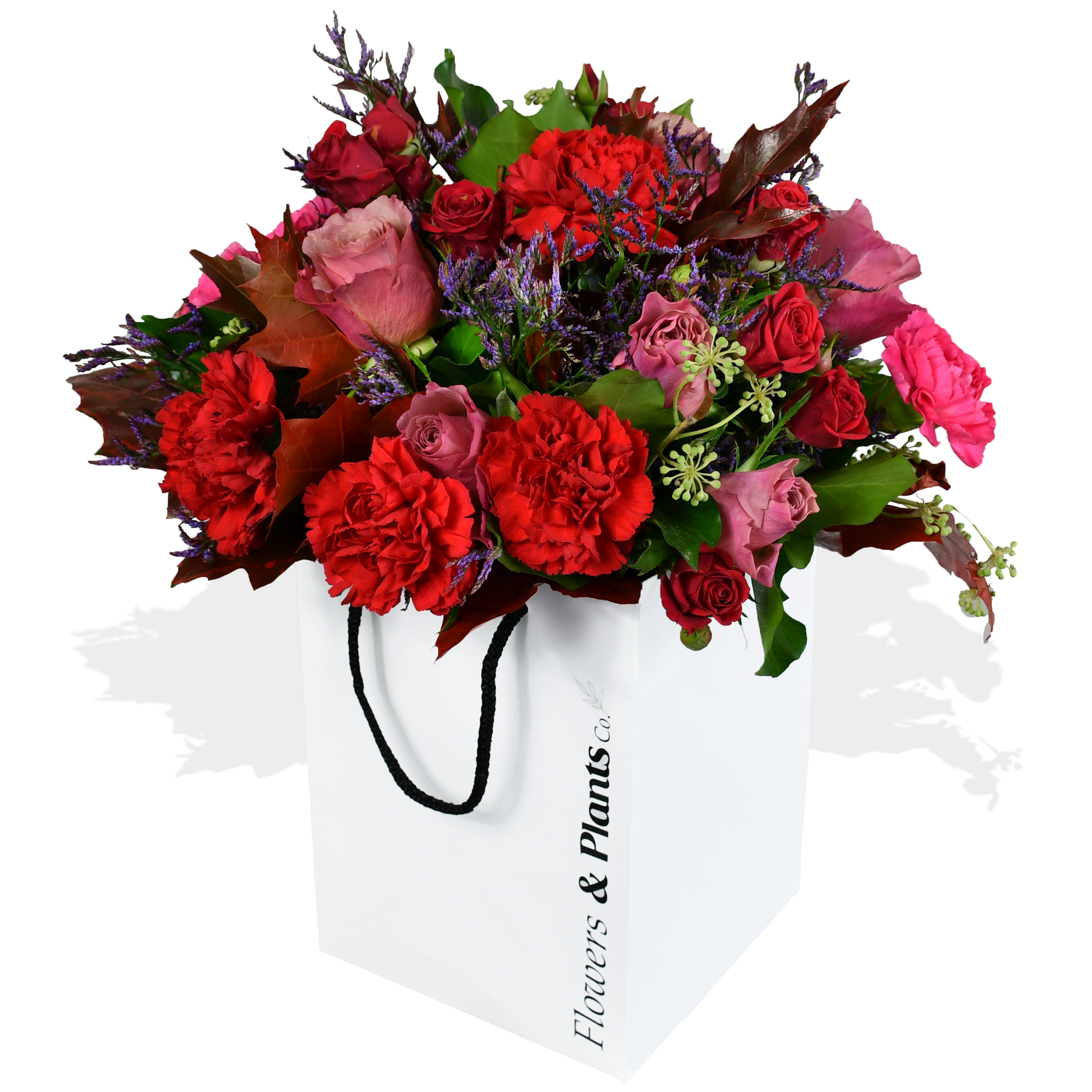 Carnation and Roses Roses Flowers & Plants Co