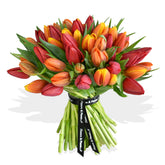 Red and Orange Crush Tulips Flowers & Plants Co