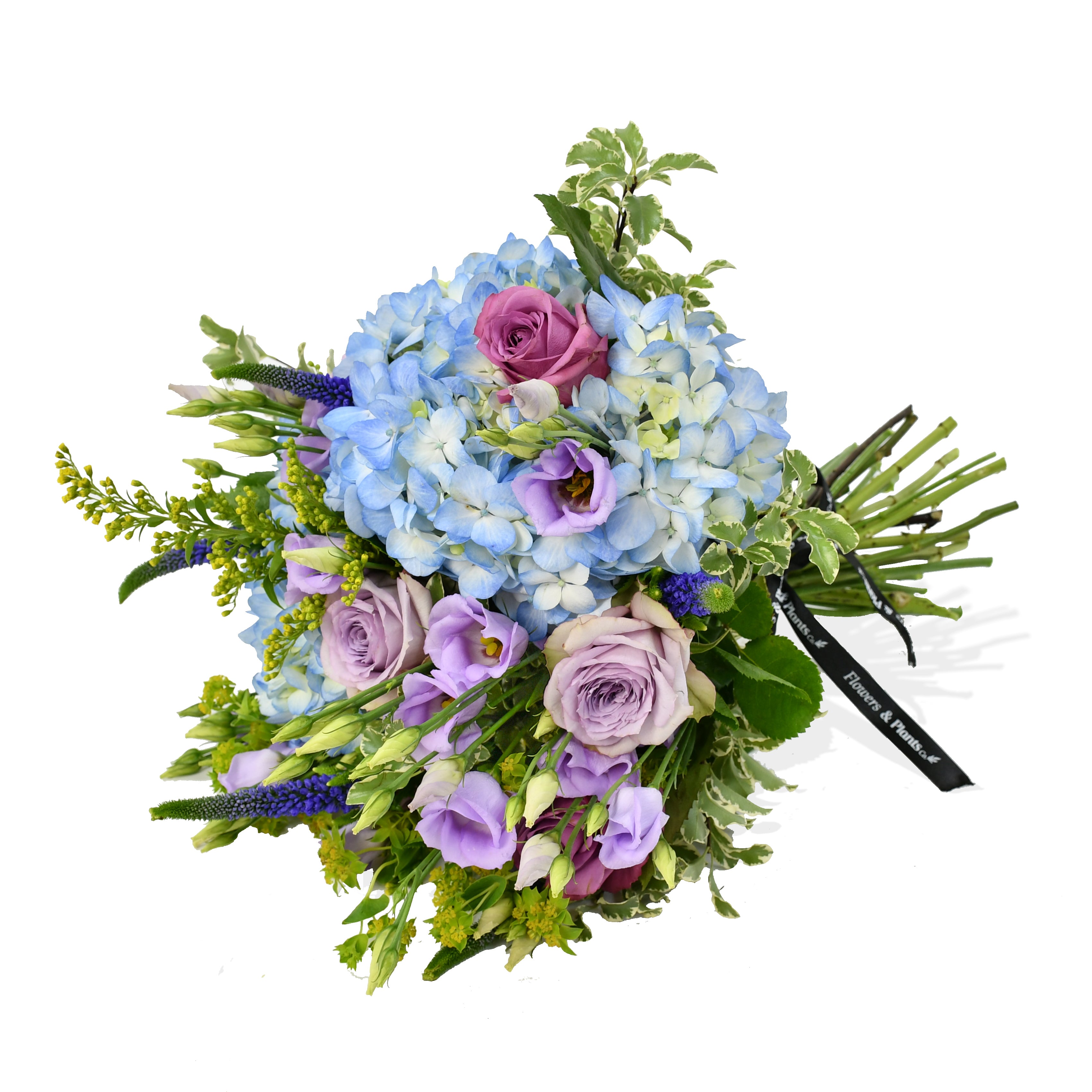 The Star & Thistle Flowers & Plants Co