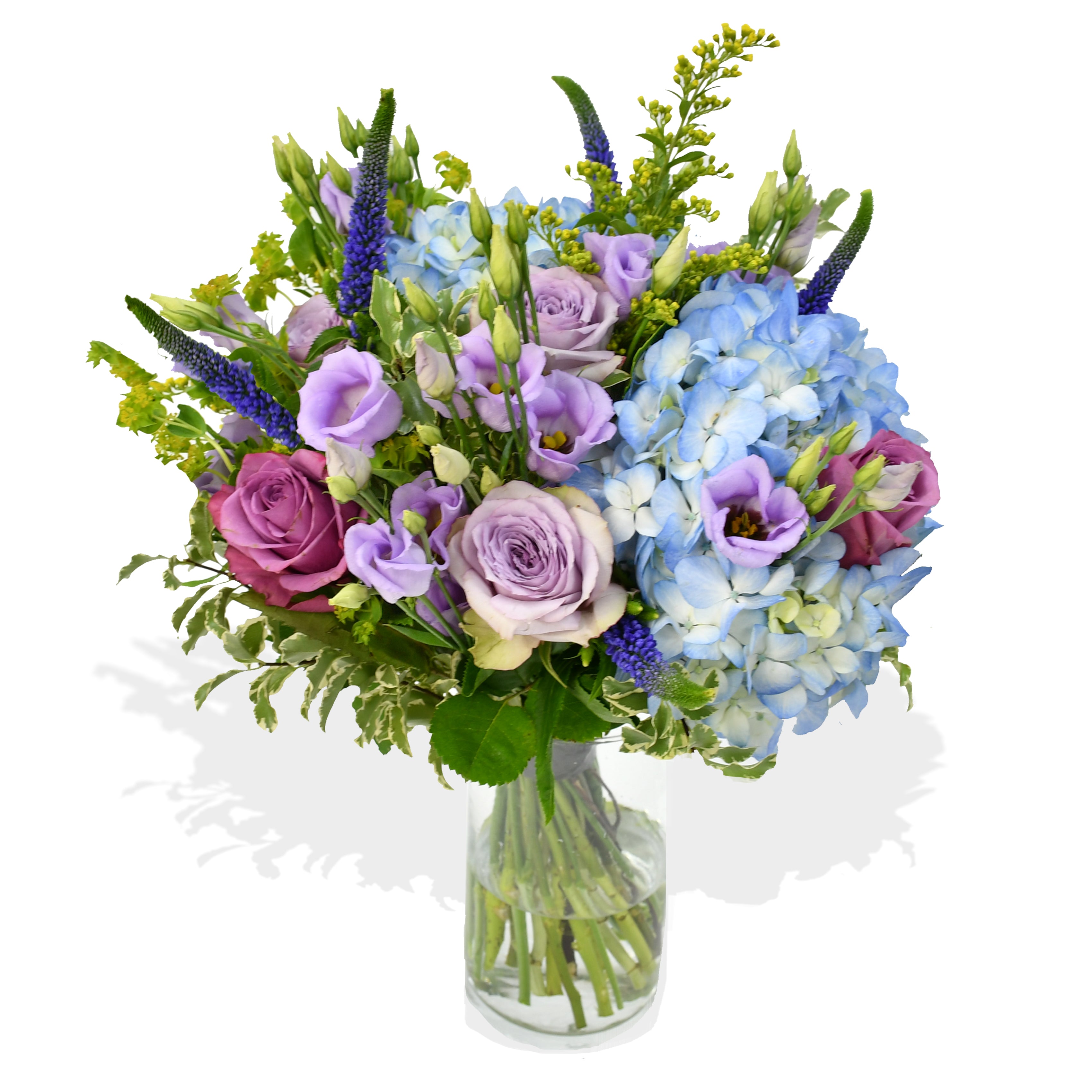 The Star & Thistle Flowers & Plants Co