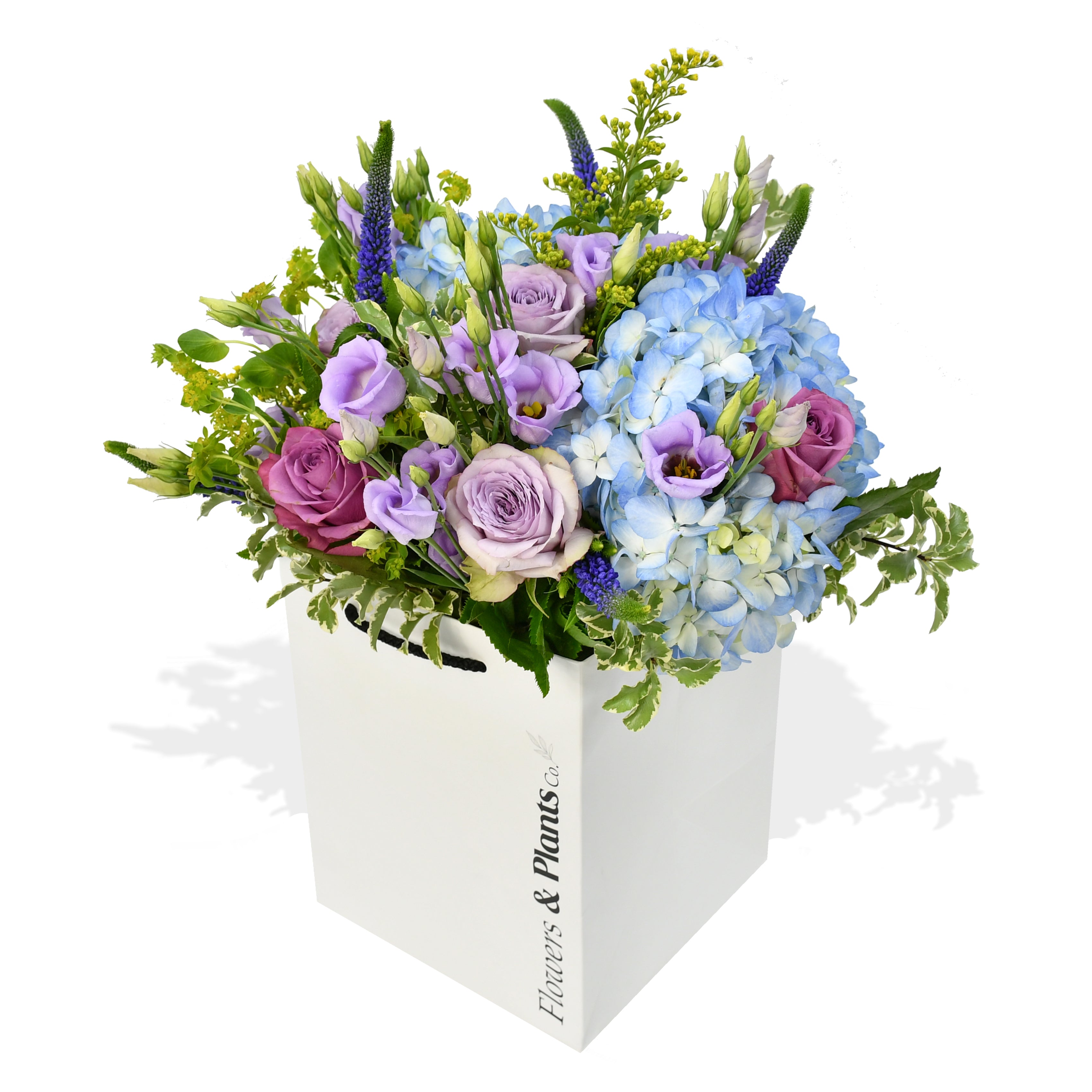 The Star & Thistle Flowers & Plants Co