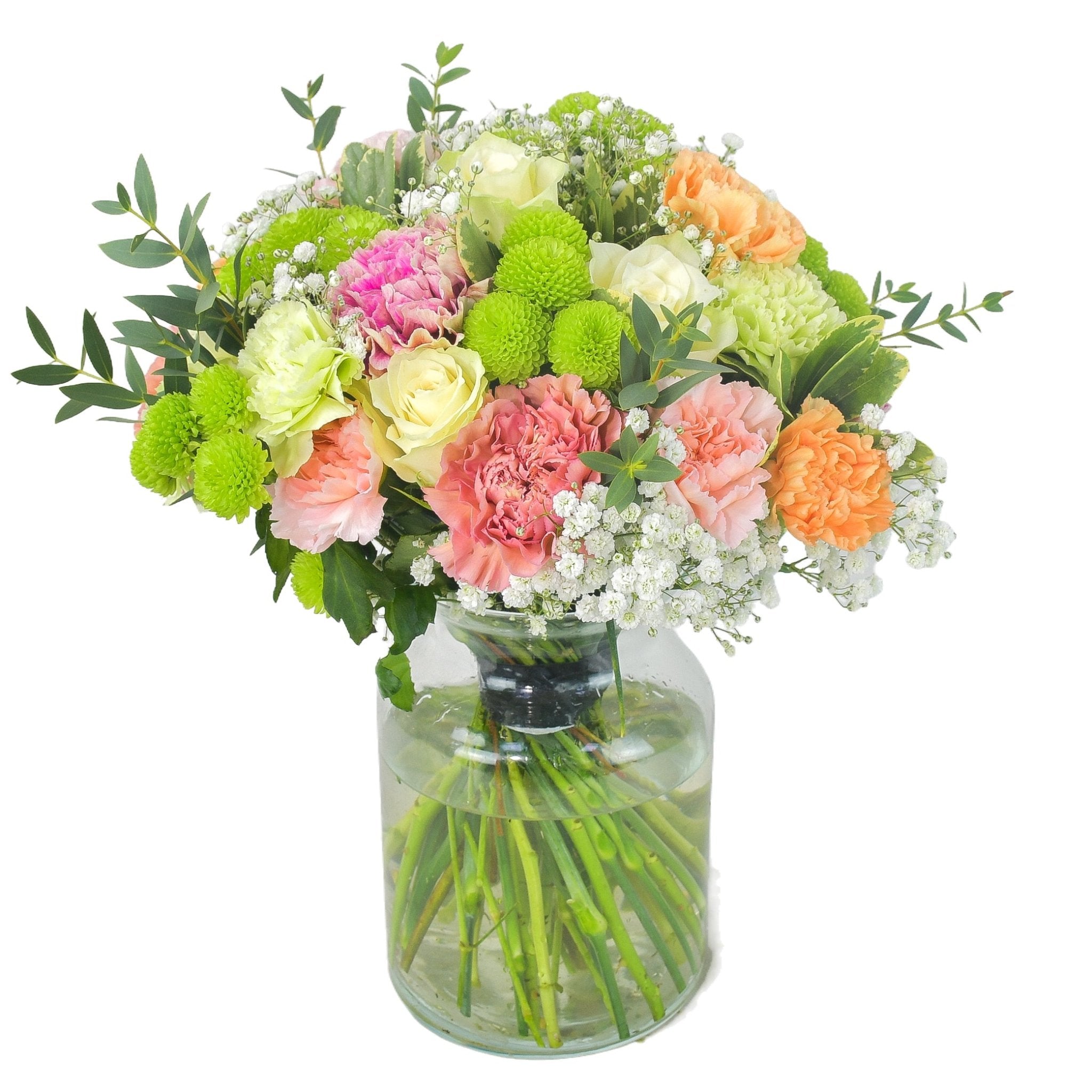 Bubblegum - Flowers & Plants Co