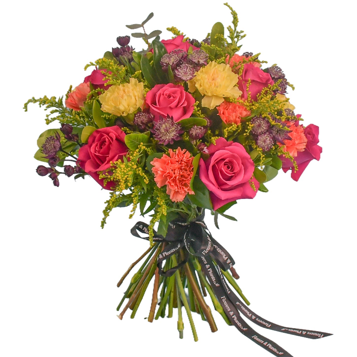 Carnival - Flowers & Plants Co