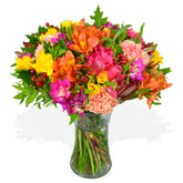 Rainbow Road Freesia Flowers & Plants Co