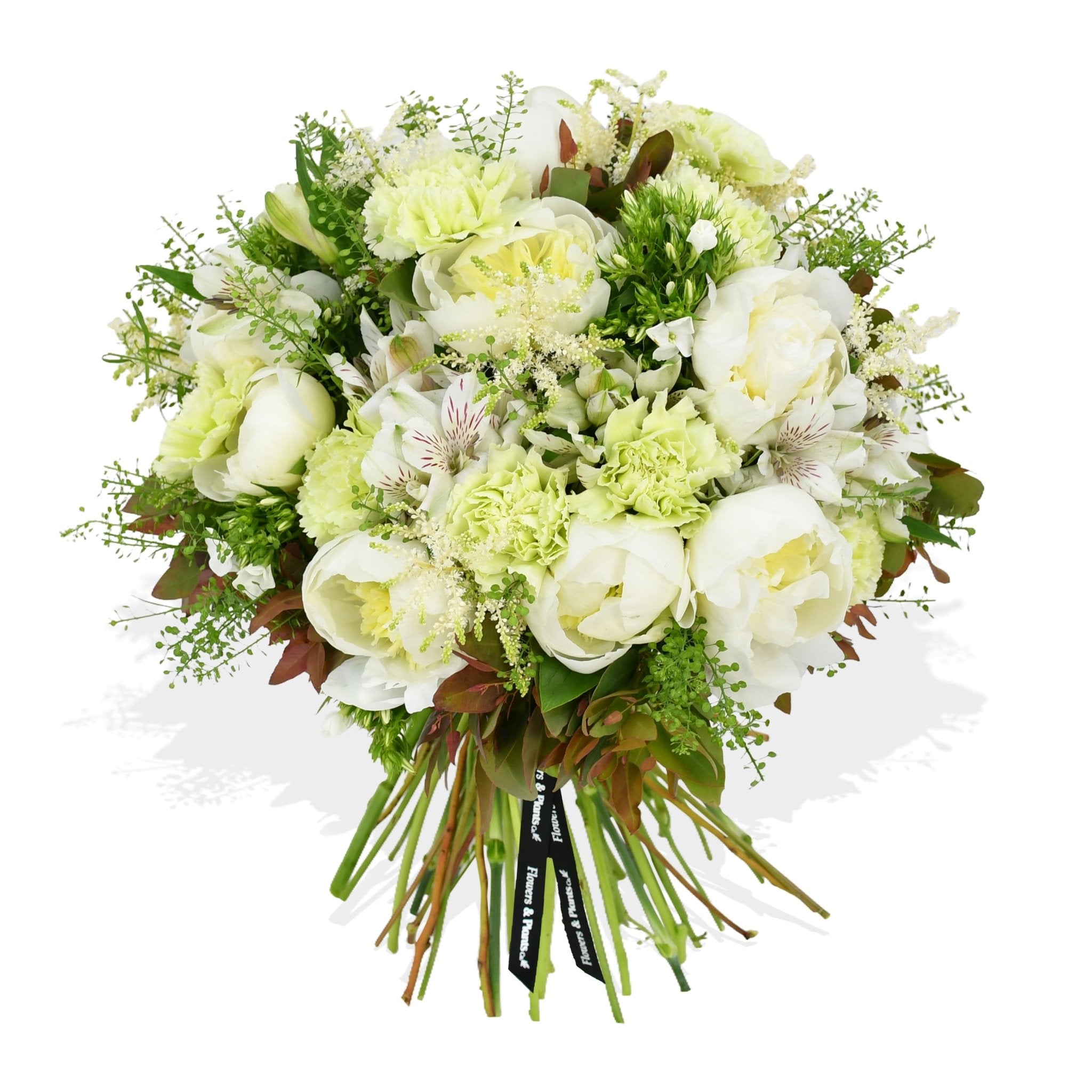 Heavenly Peonies - Flowers & Plants Co