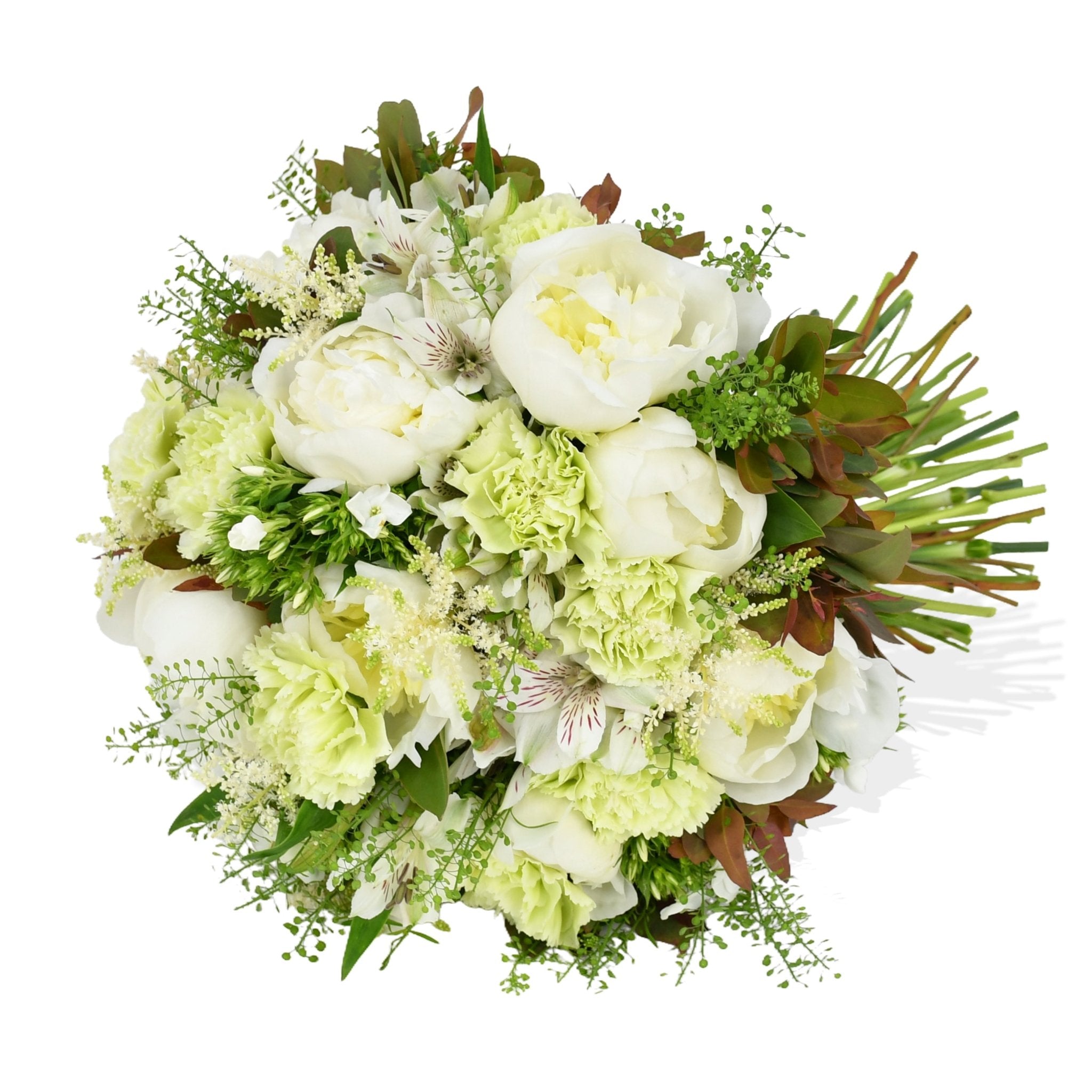 Heavenly Peonies - Flowers & Plants Co