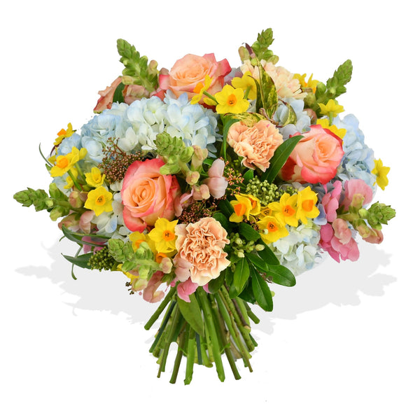 Joie De Vivre - Flowers & Plants Co