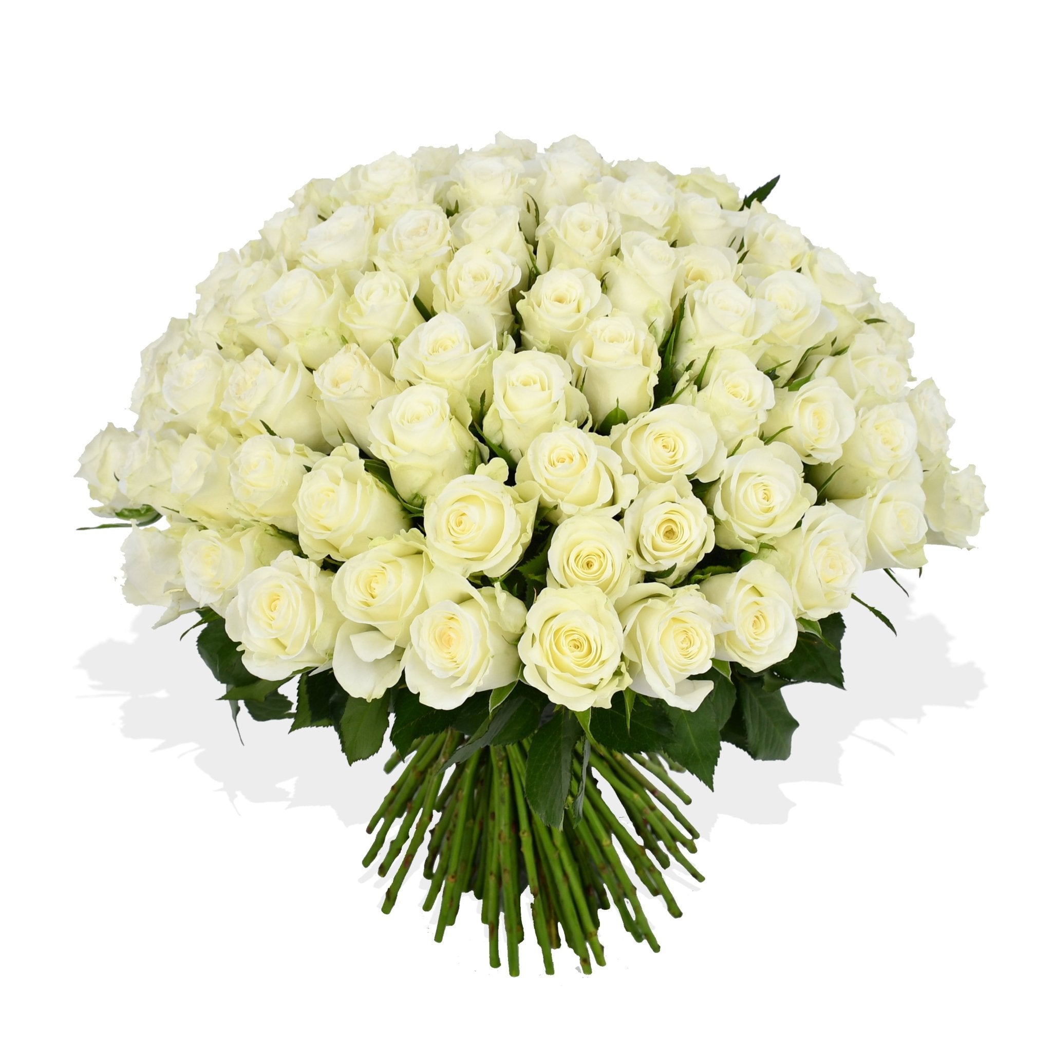 Mademoiselle - Flowers & Plants Co