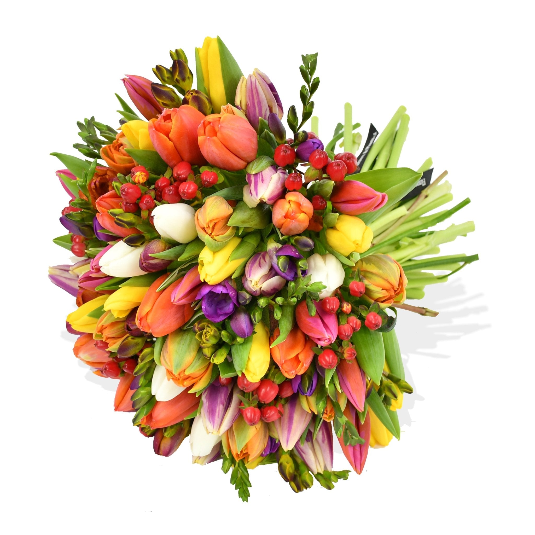 Mixed Tulips - Flowers & Plants Co