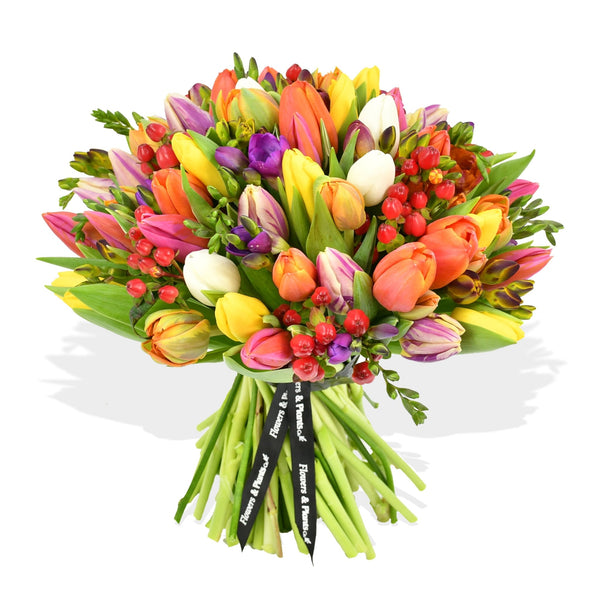 Mixed Tulips - Flowers & Plants Co
