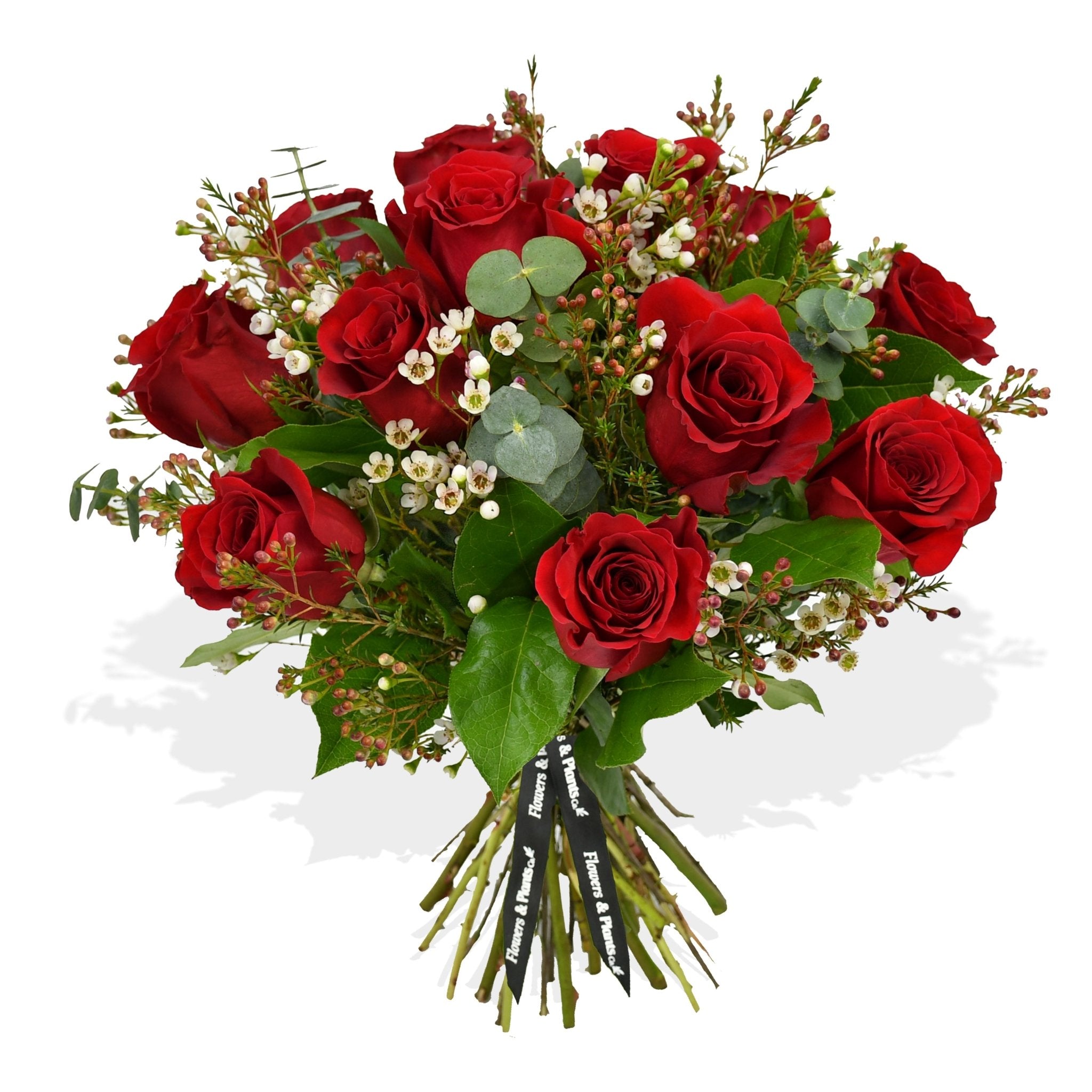 One More Chance - Flowers & Plants Co