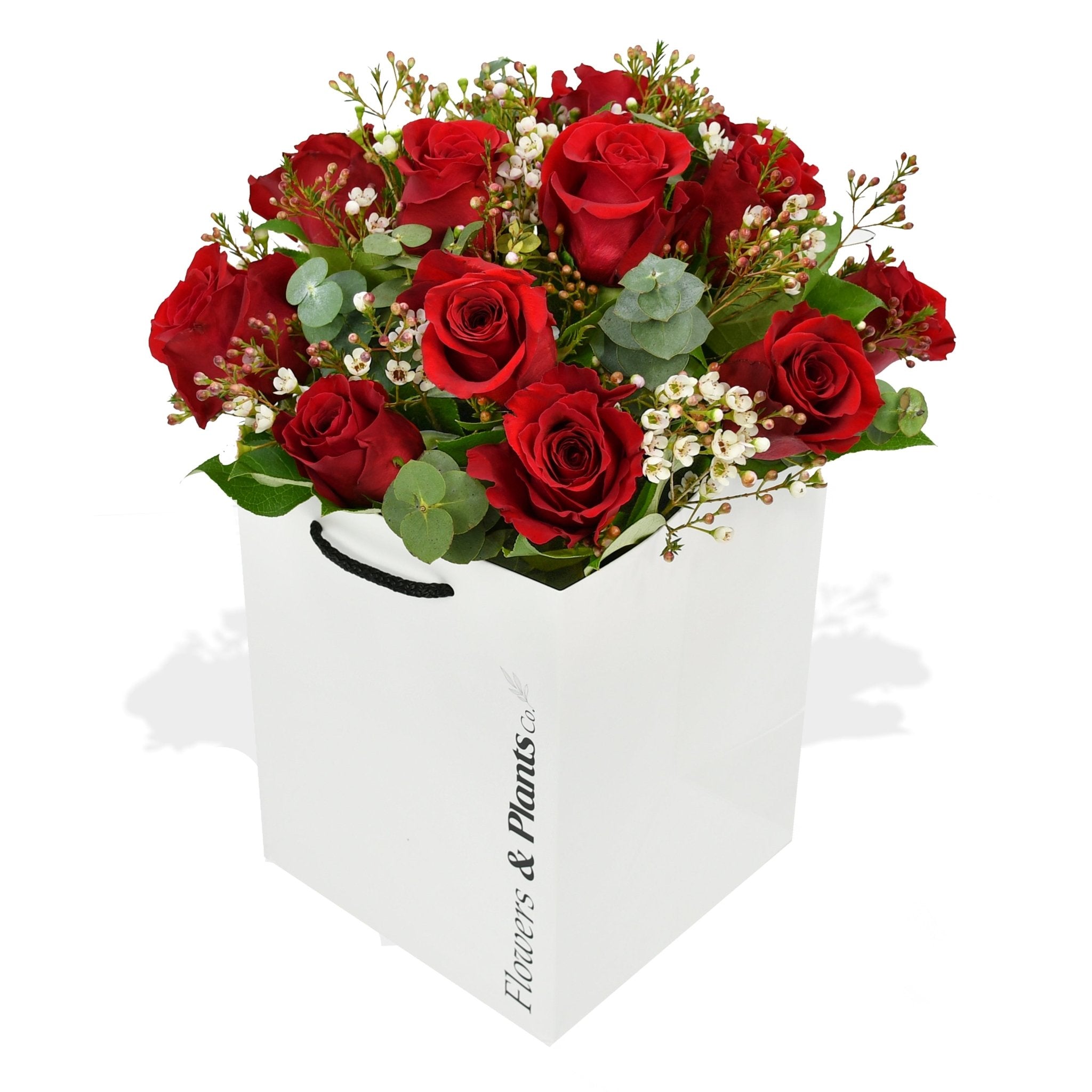 One More Chance - Flowers & Plants Co
