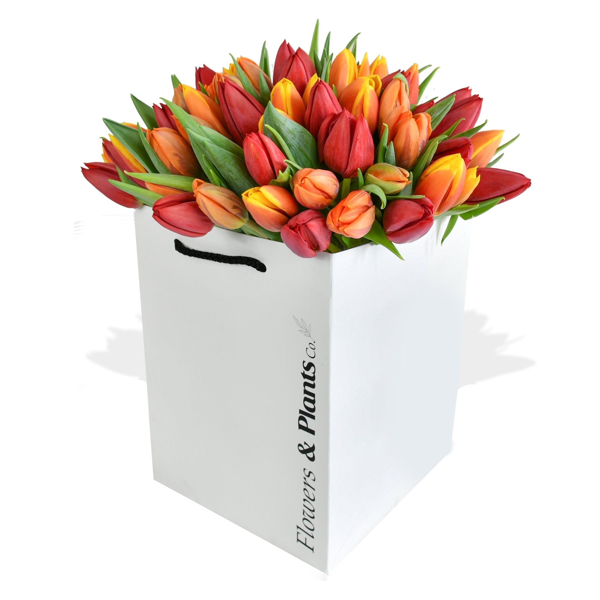 Orange Crush - Flowers & Plants Co