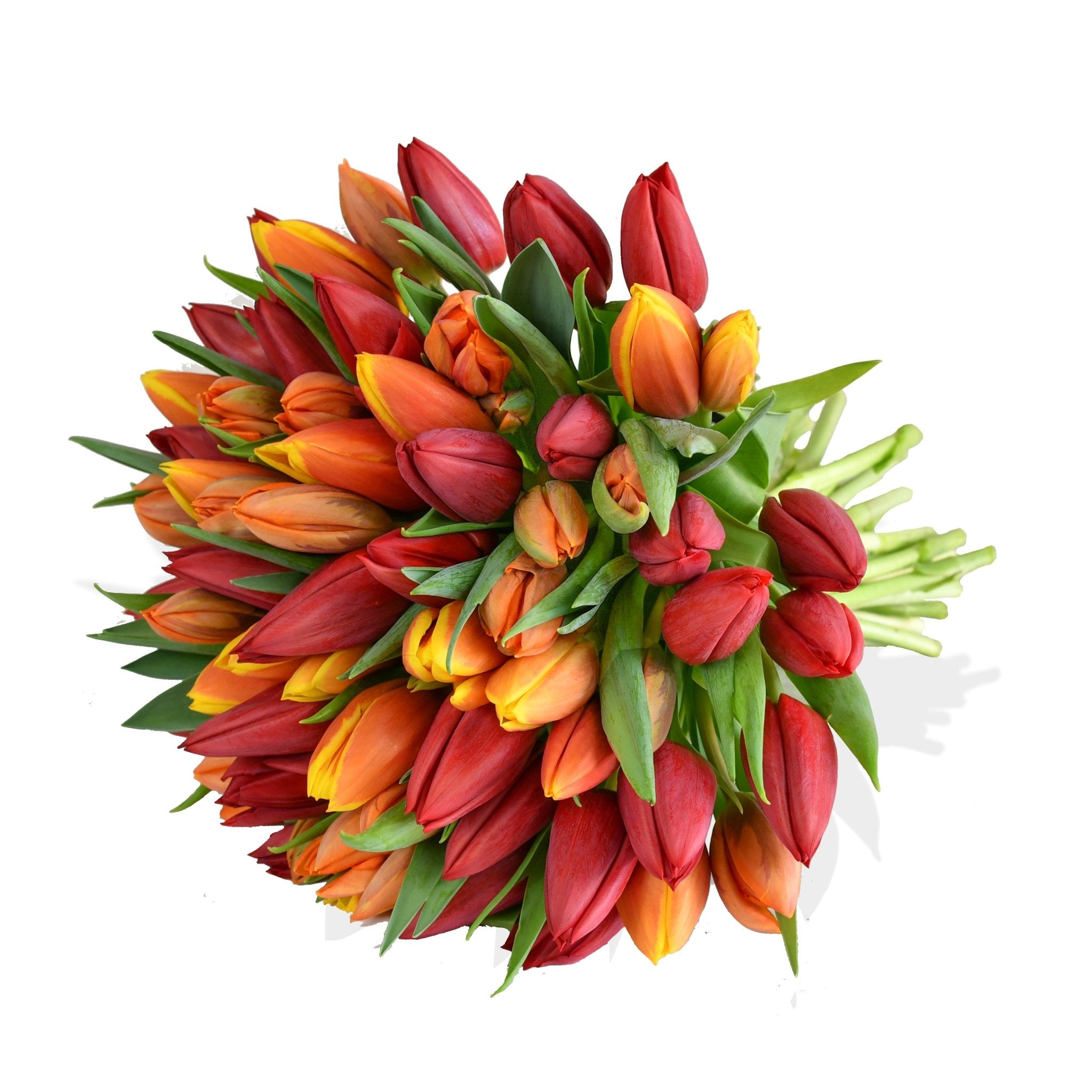 Orange Crush - Flowers & Plants Co