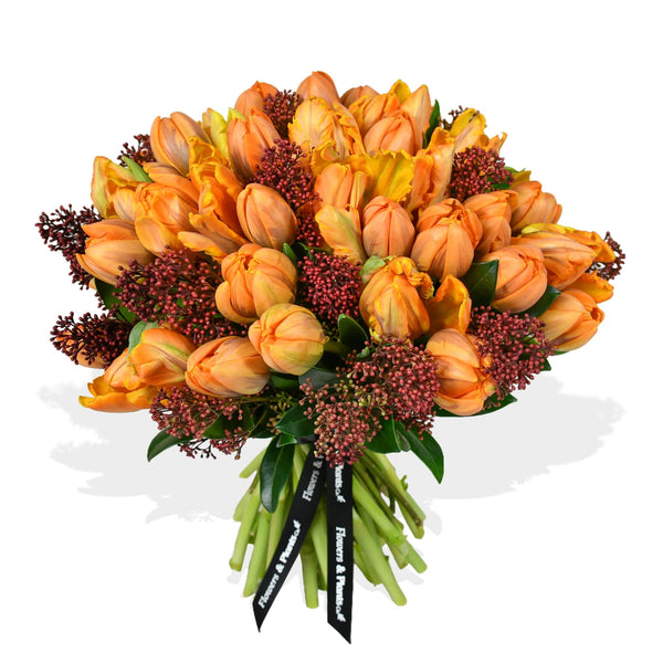 Parrot Tulip Plush - Flowers & Plants Co