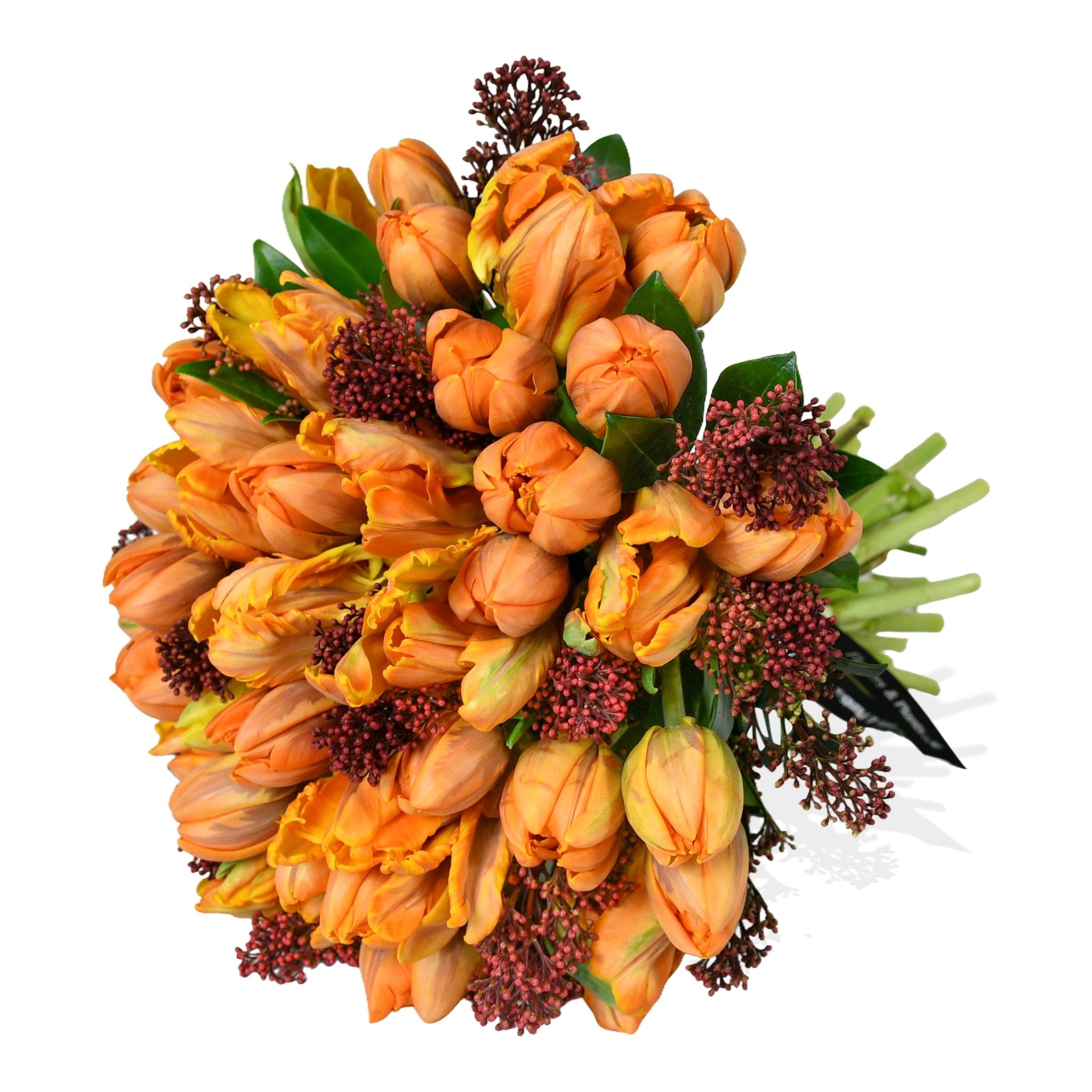 Parrot Tulip Plush - Flowers & Plants Co
