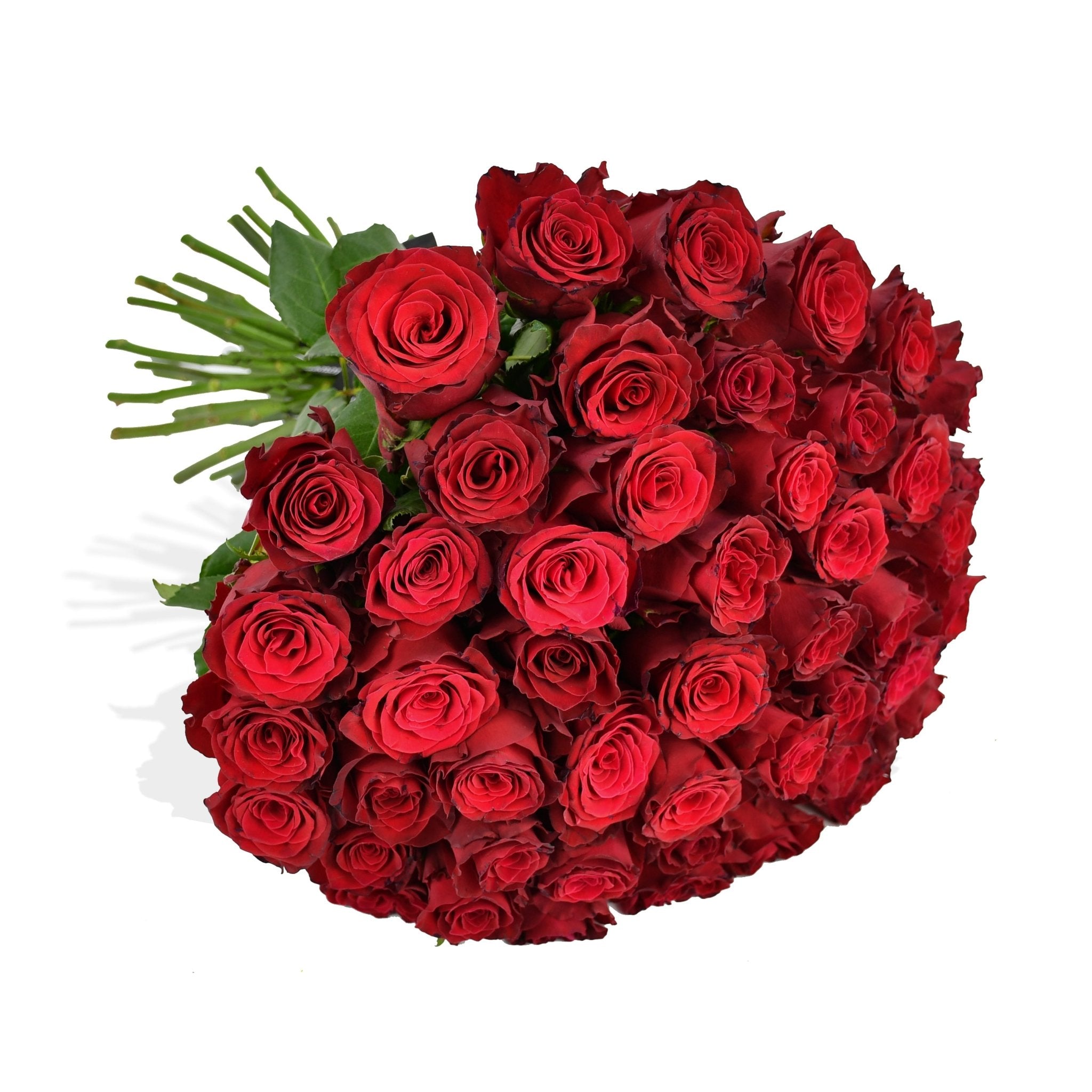 Red Red Rose - Flowers & Plants Co