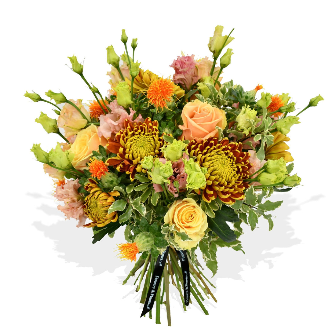 Roses & Lisi - Flowers & Plants Co