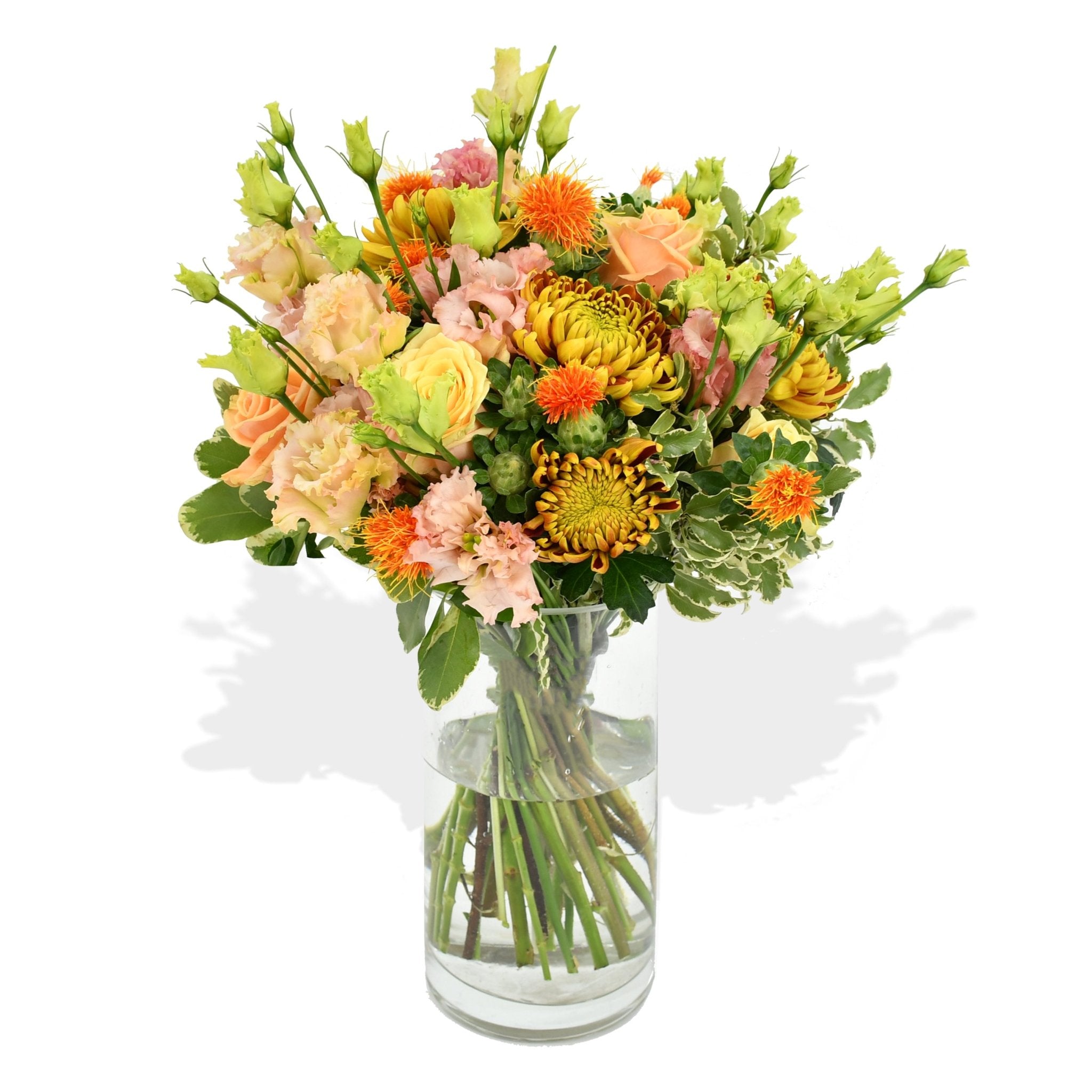Roses & Lisi - Flowers & Plants Co