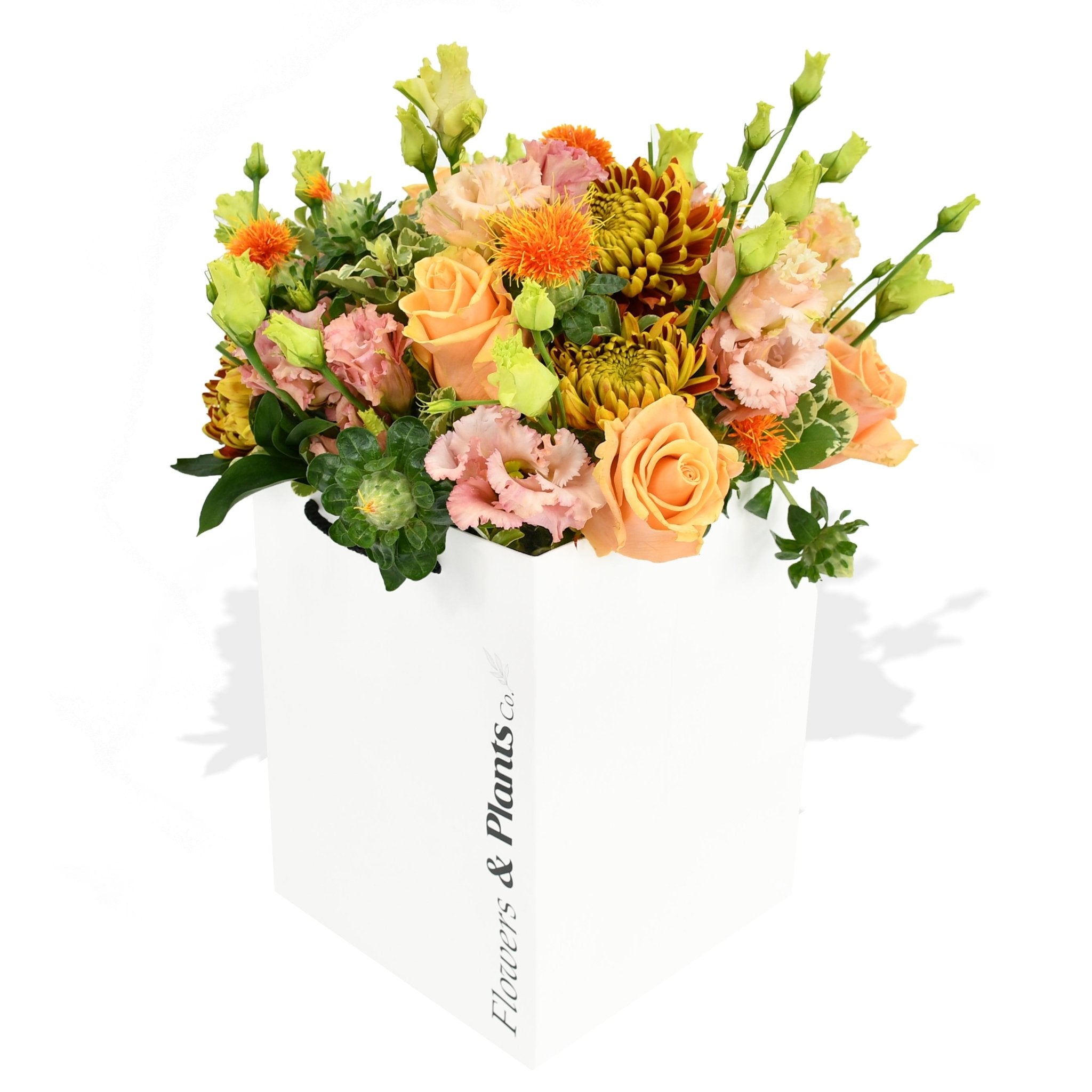 Roses & Lisi - Flowers & Plants Co