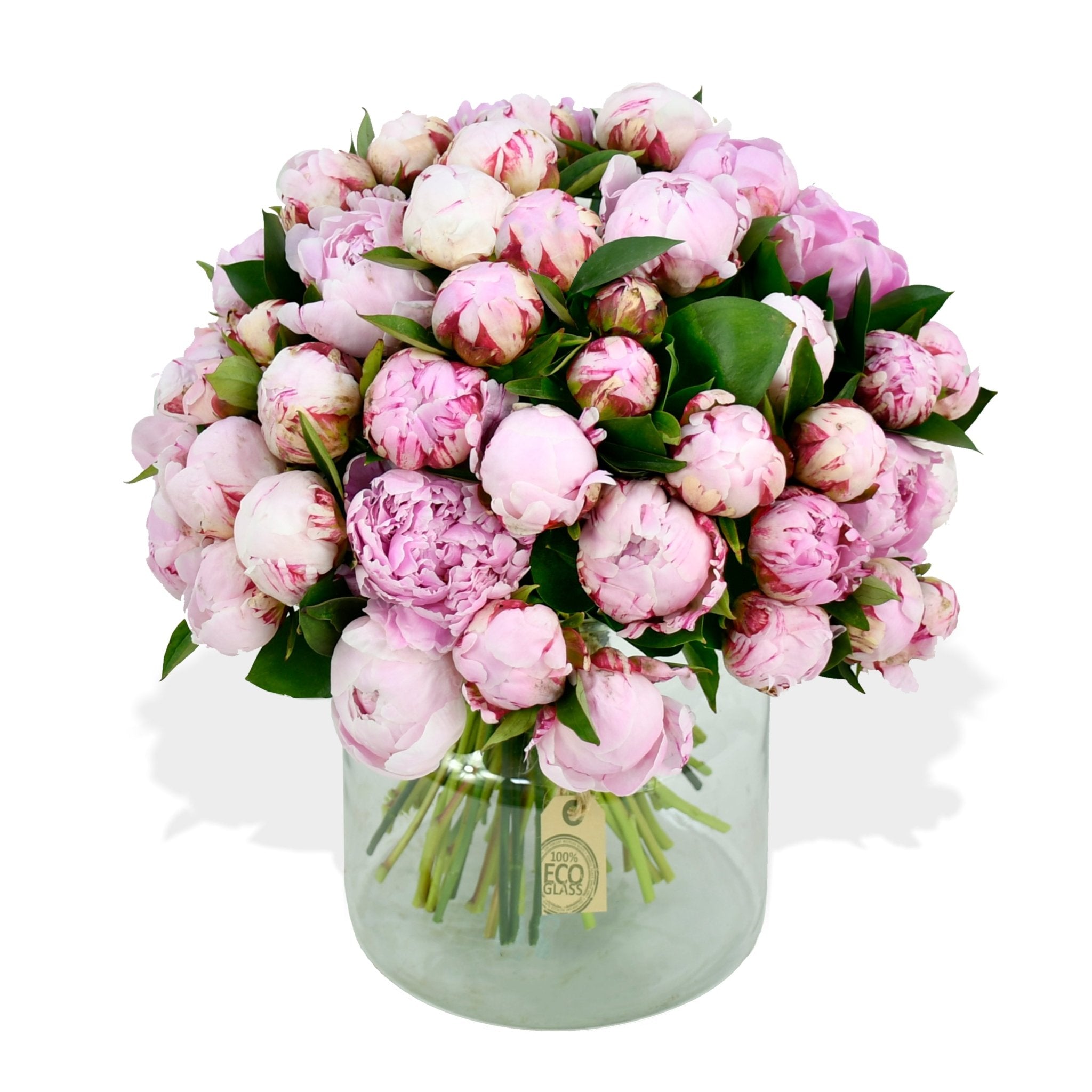 Sarah Bernhardt - Flowers & Plants Co